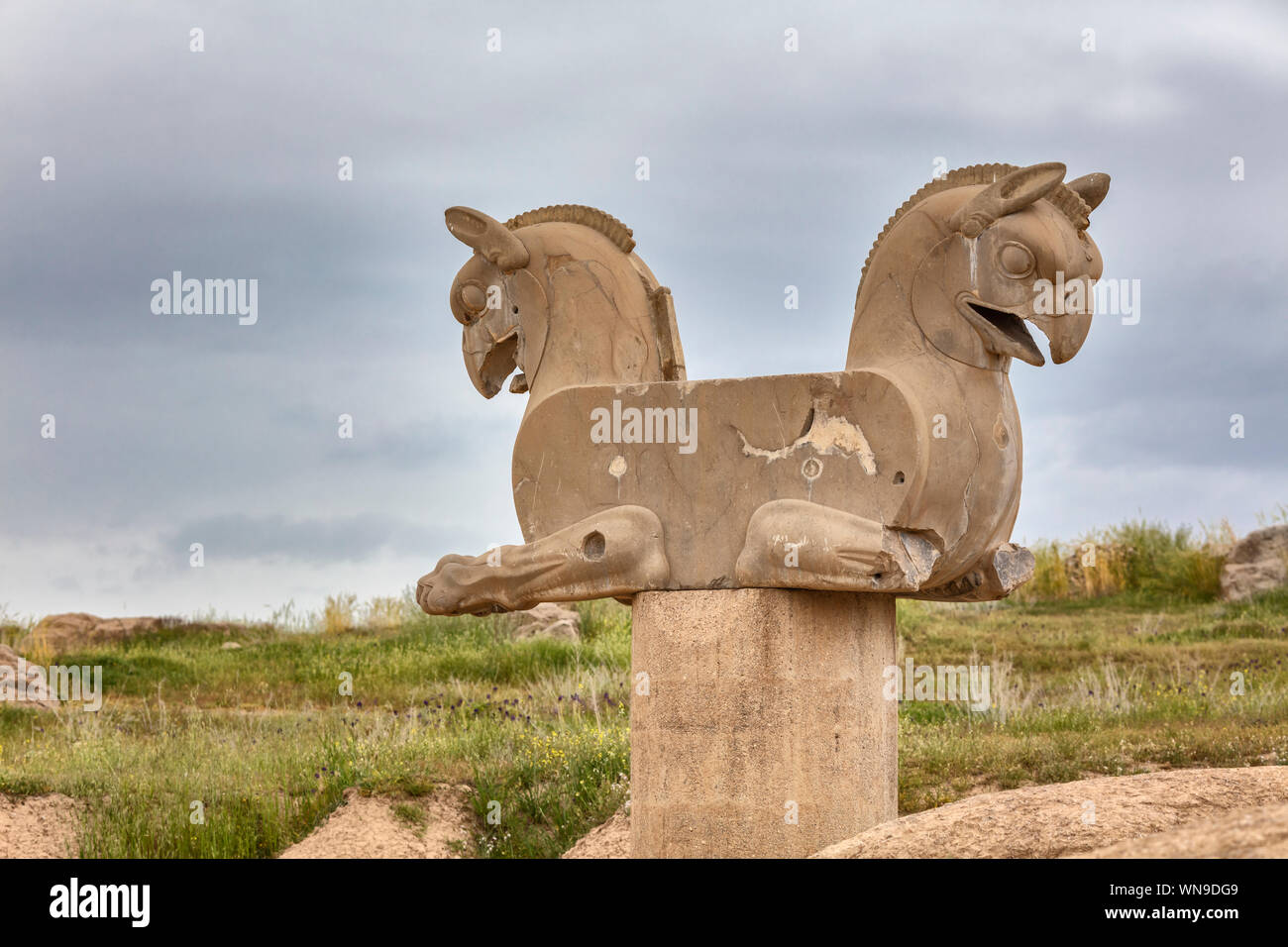 Huma vogel Hauptstadt Spalte, Persepolis, zeremoniellen Hauptstadt des achämenidischen Reichs, Provinz Fars, Iran Stockfoto