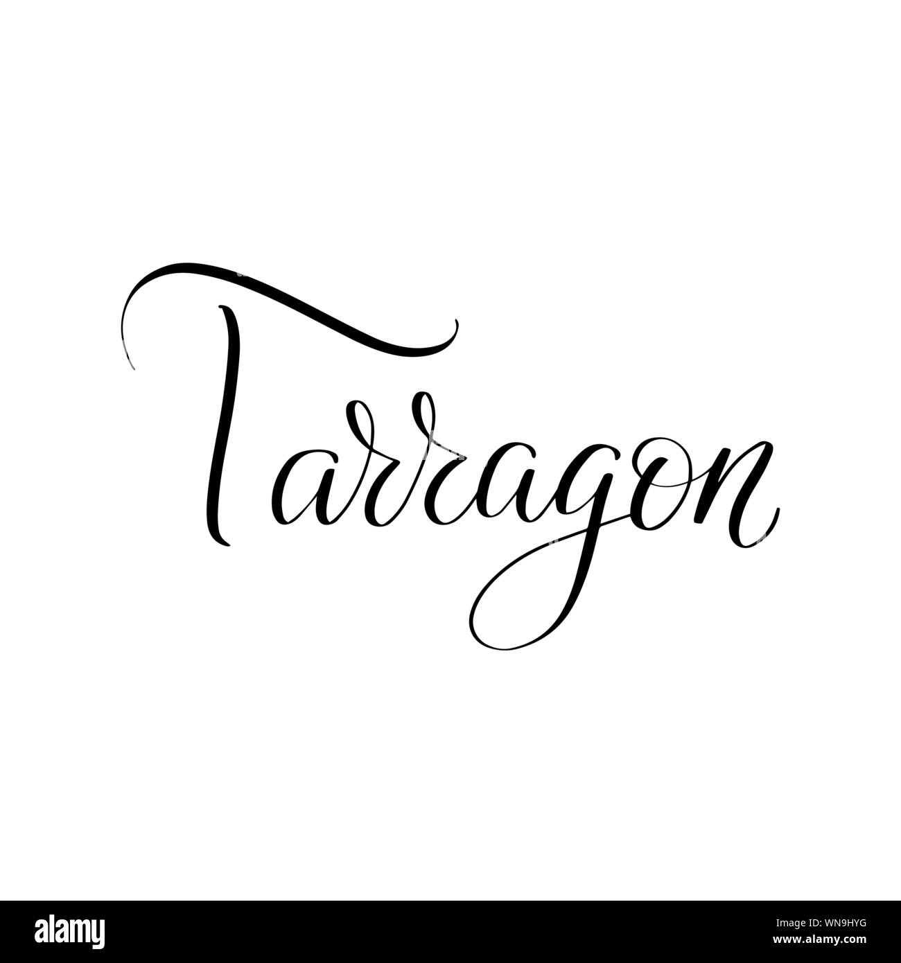 Inspirational handschriftliche Bürste Schriftzug. Vektor Kalligraphie Abbildung Stock Vektor