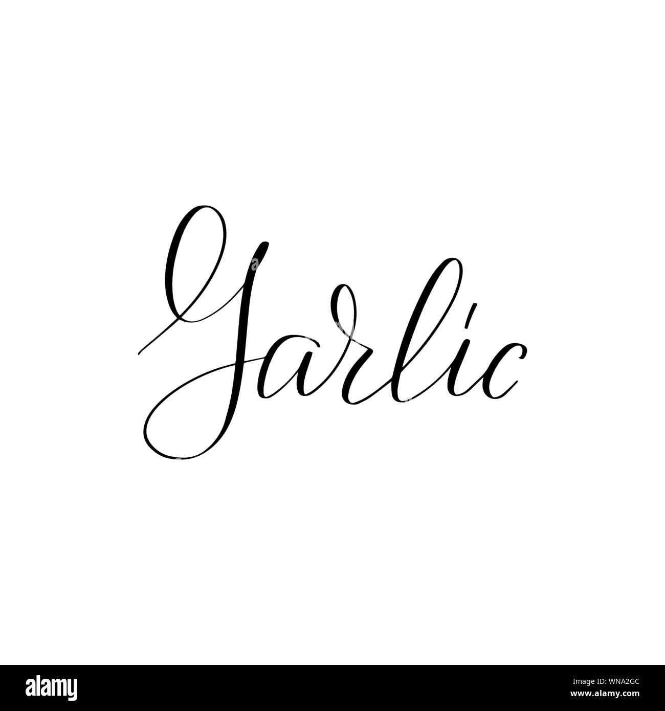 Inspirational handschriftliche Bürste Schriftzug. Vektor Kalligraphie Abbildung Stock Vektor