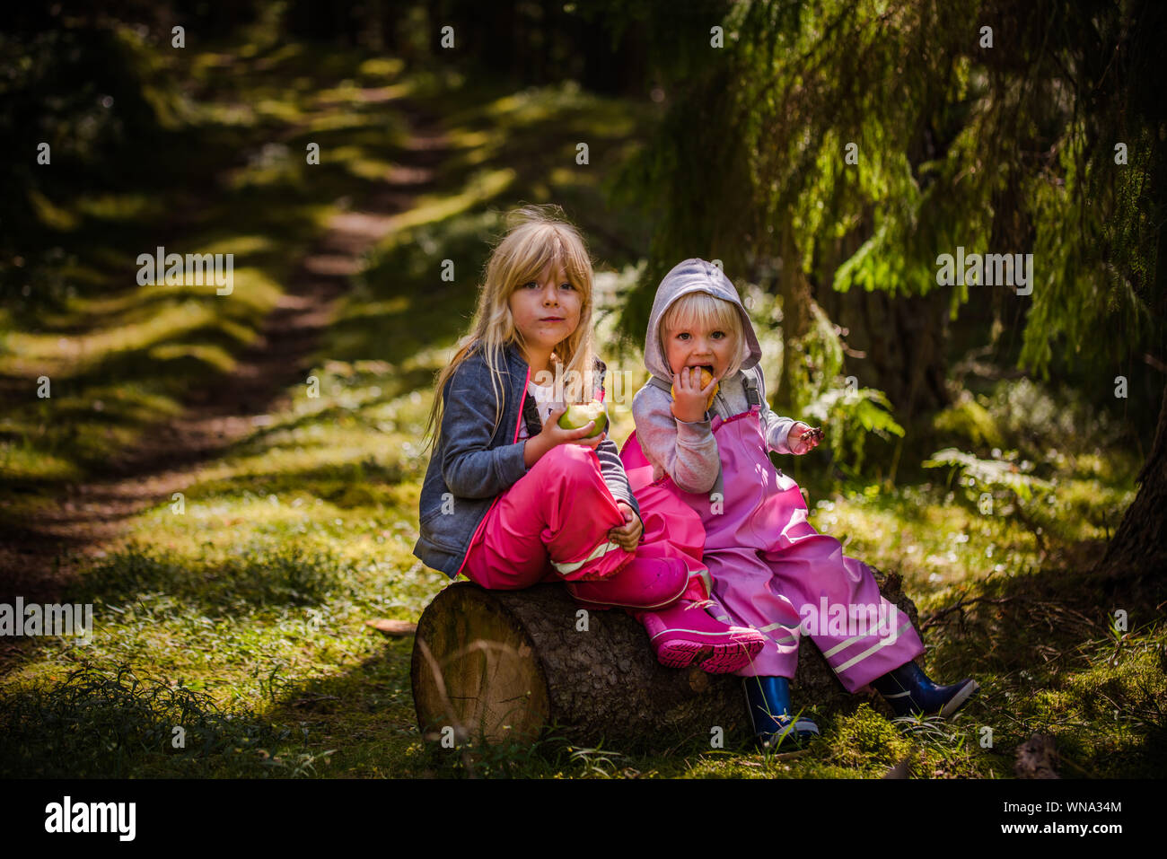 Kinder im wald -Fotos und -Bildmaterial in hoher Auflösung – Alamy