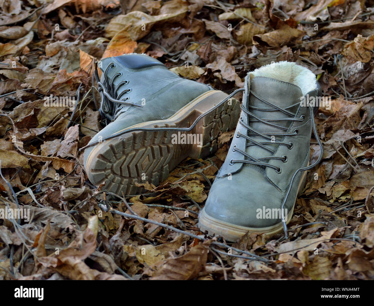 Kanadische Stiefel auf ein Bündel trockenes Laub im Herbst Stockfotografie  - Alamy