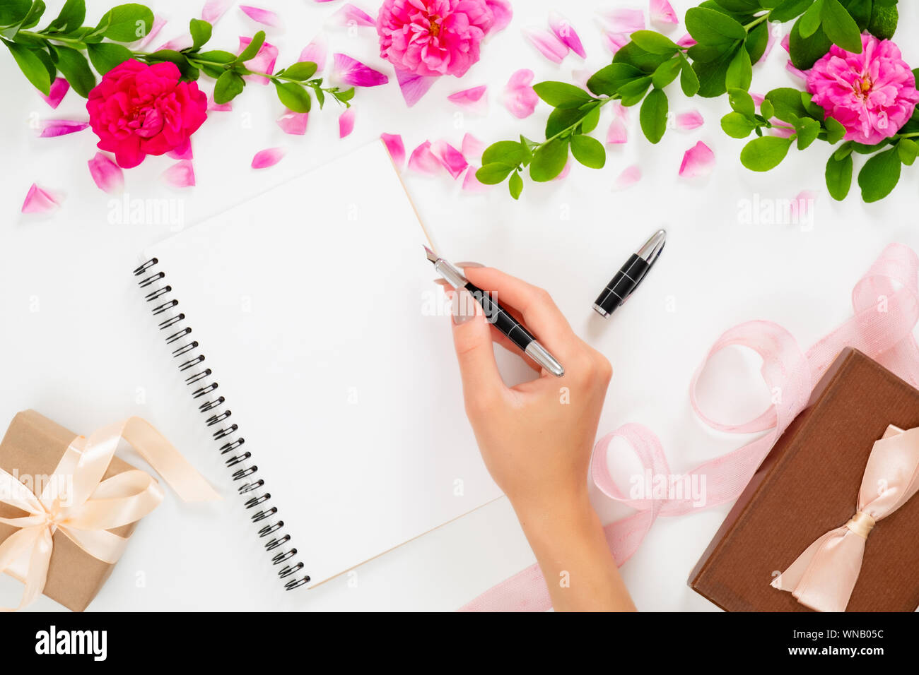 Weibliche Hand schreiben einen Text in Papier notepad Tagebuch liegen auf weißem Hintergrund mit rosa Rose Blütenknospen und Geschenkboxen. Frau Arbeitsbereich, Flach, oben Stockfoto