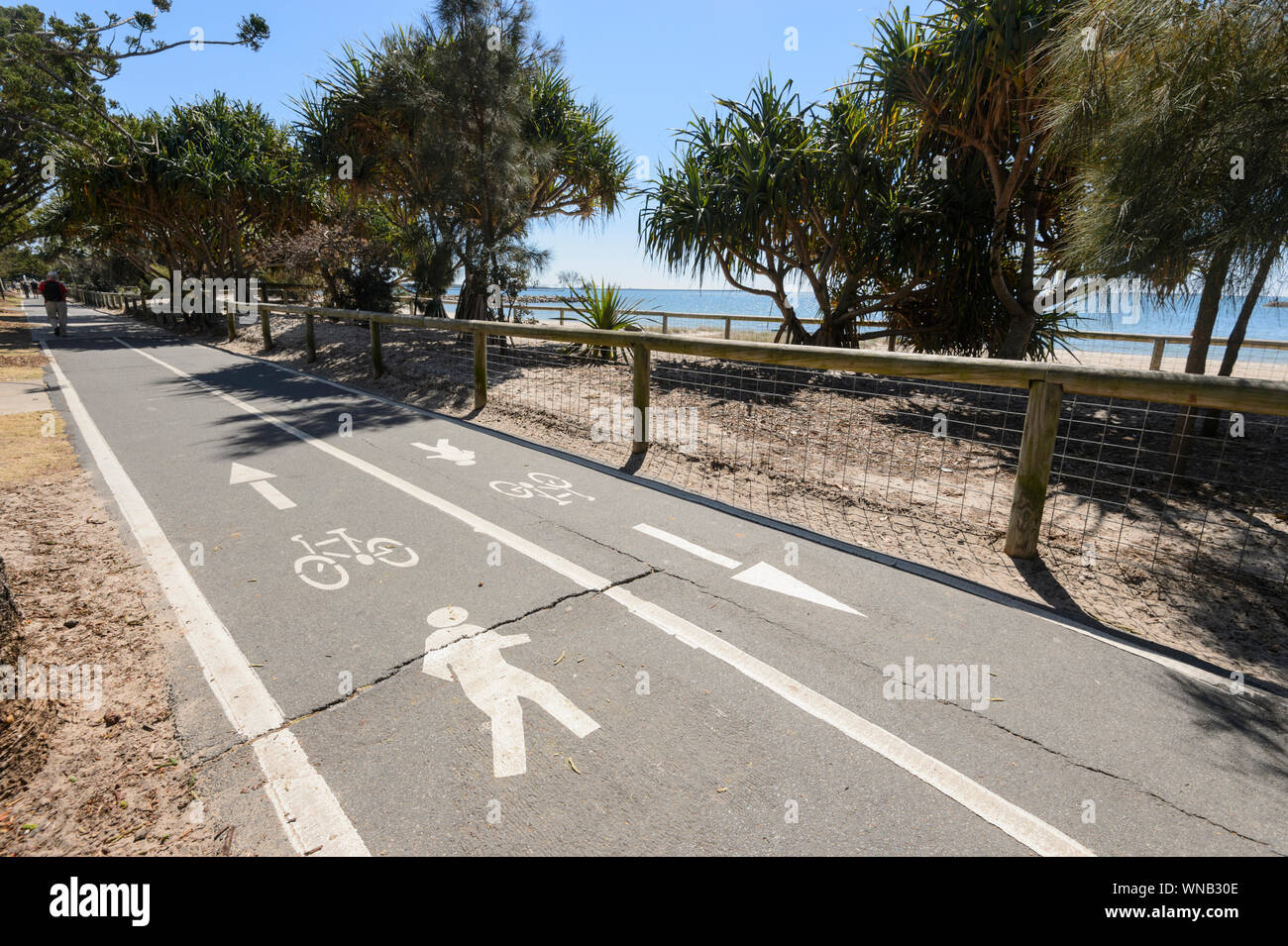 Die Moreton Bay Cycleway ist ein Radfahren Spur am Wynnum, Queensland, Queensland, Australien Stockfoto