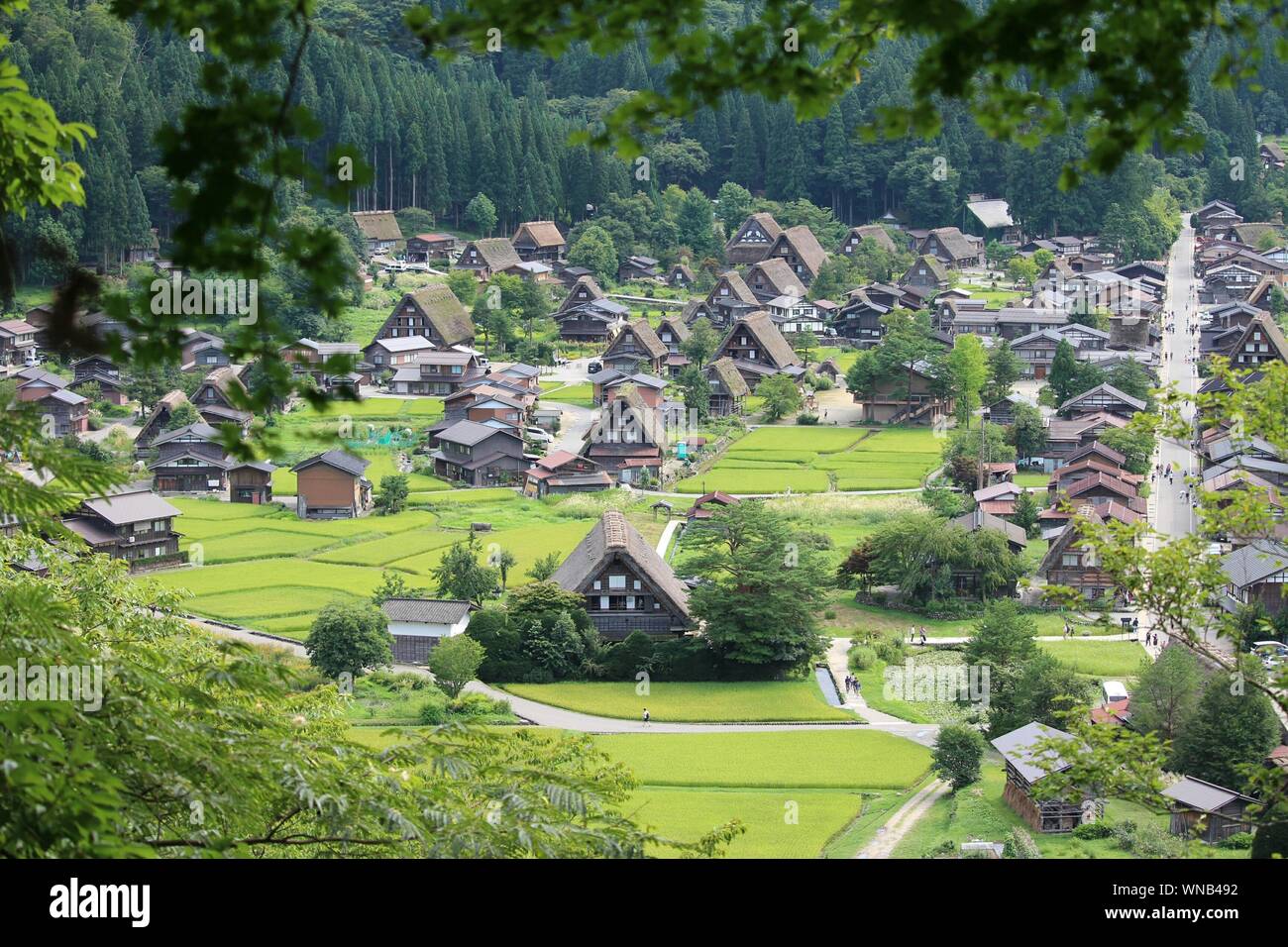 Malerischer Blick auf ländlichen Gegend inmitten grüner Landschaft Stockfoto