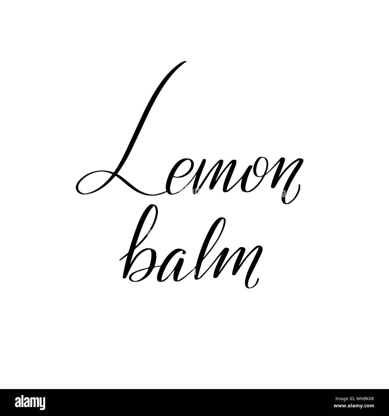 Inspirational handschriftliche Bürste Schriftzug. Vektor Kalligraphie Abbildung Stock Vektor