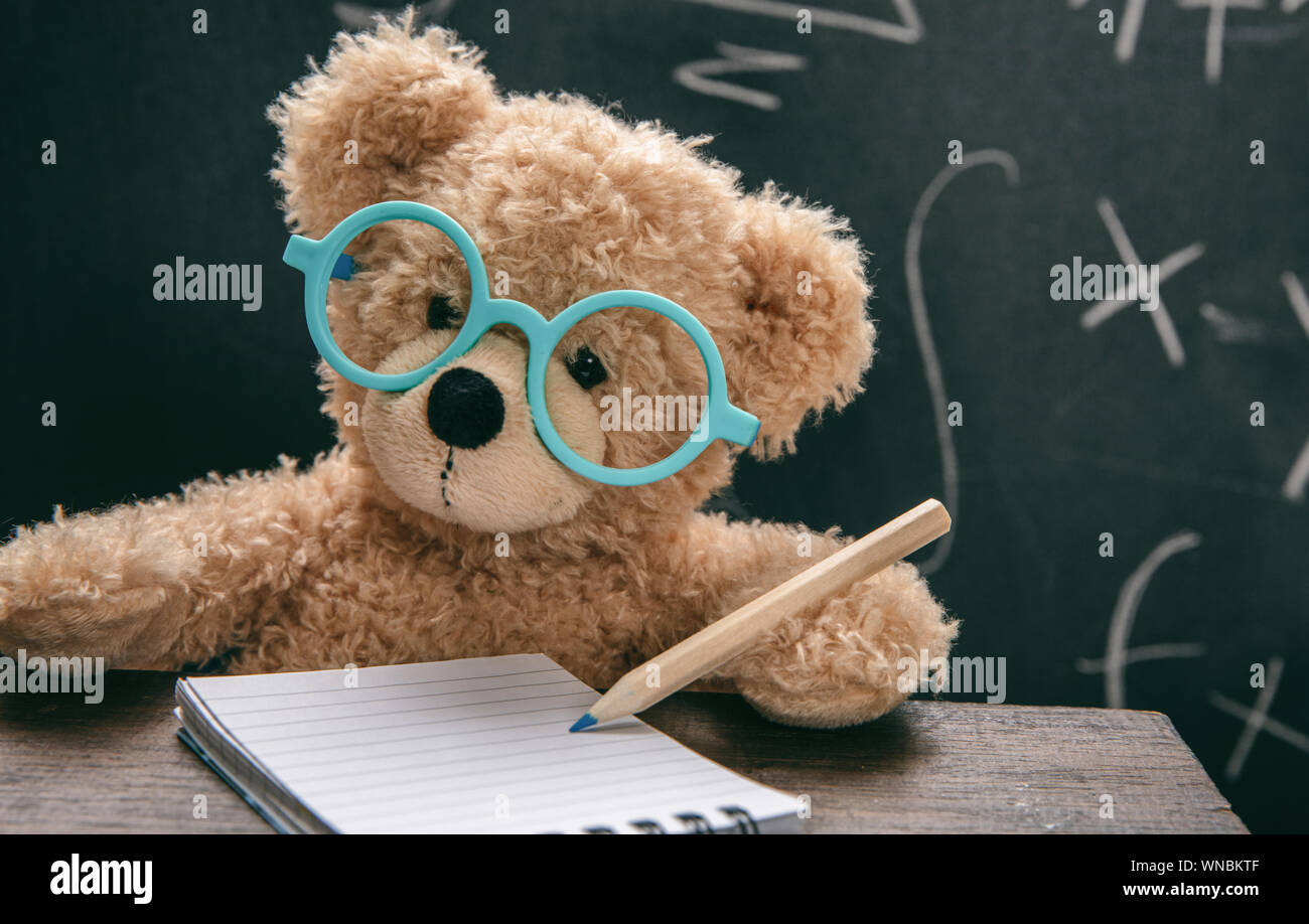 Mathestunde Testkonzept. Intelligentes Zicklein in der Schule Klasse, niedliche Teddy trägt blaue Brillen und mathematische Symbole auf Tafel Stockfoto