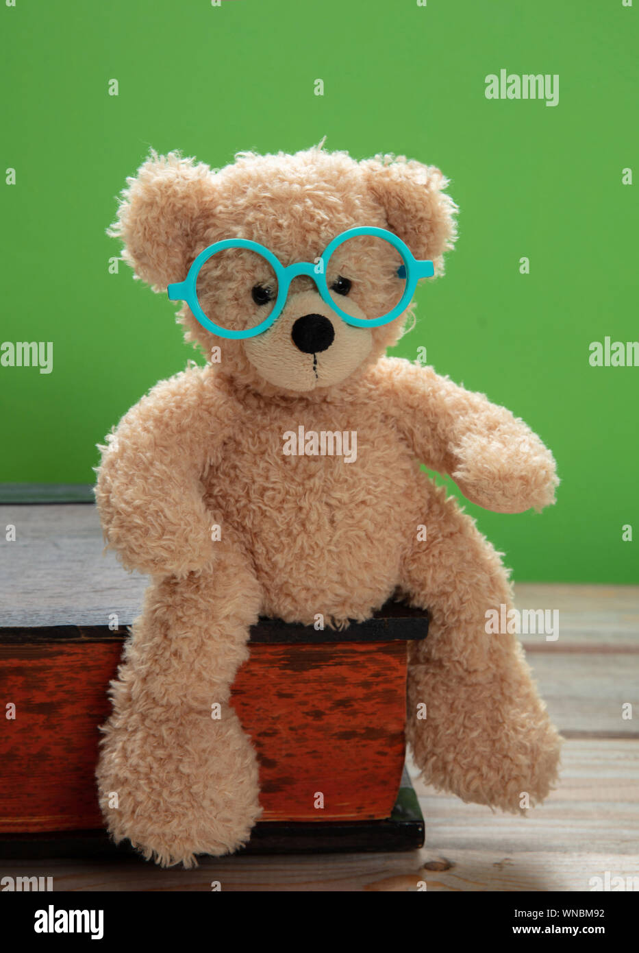 Zurück zu Schule. Smart Kid, niedliche Teddy tragen Brillen sitzen auf einem großen Buch gegen grüne Farbe Hintergrund Stockfoto
