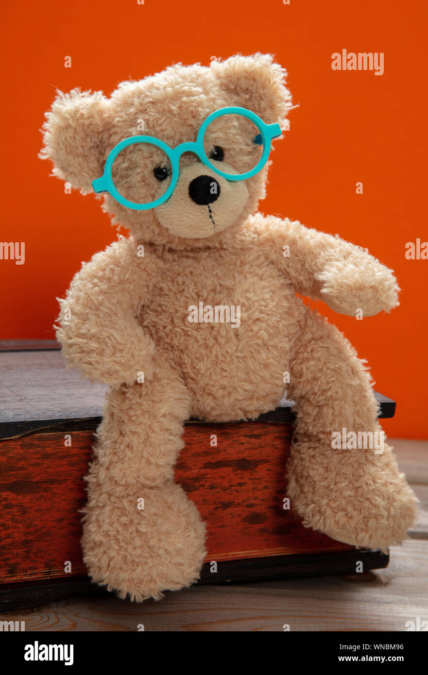 Zurück zu Schule. Smart Kid, niedliche Teddy tragen Brillen sitzen auf einem großen Buch gegen orange Farbe Hintergrund Stockfoto