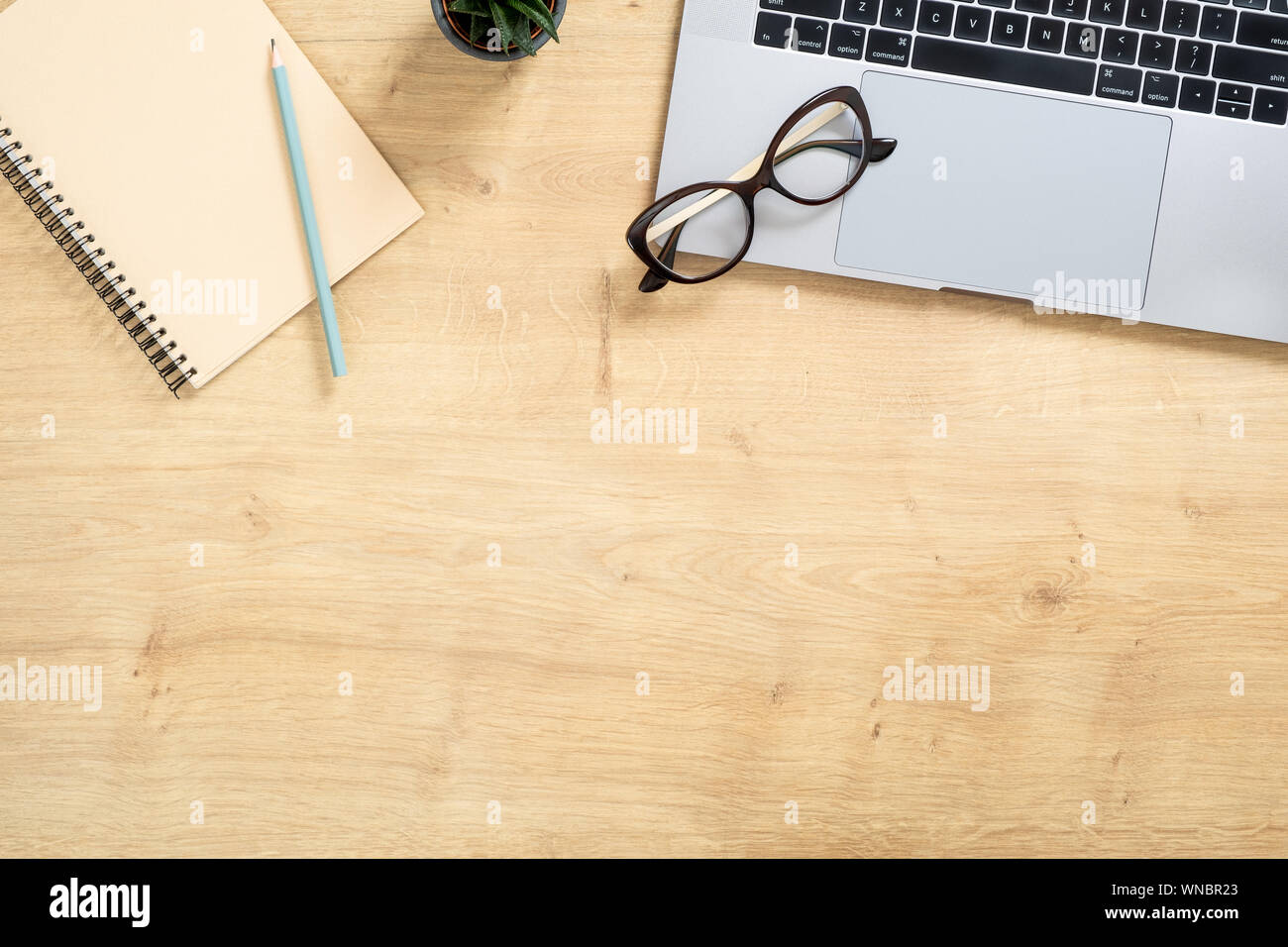 Moderne Holz- büro Schreibtisch Tisch mit Laptop, sukkulente Pflanze, Papier Notizblock, Stift. Ansicht von oben mit der Kopie Raum, flach. Feminine Arbeitsbereich Konz Stockfoto
