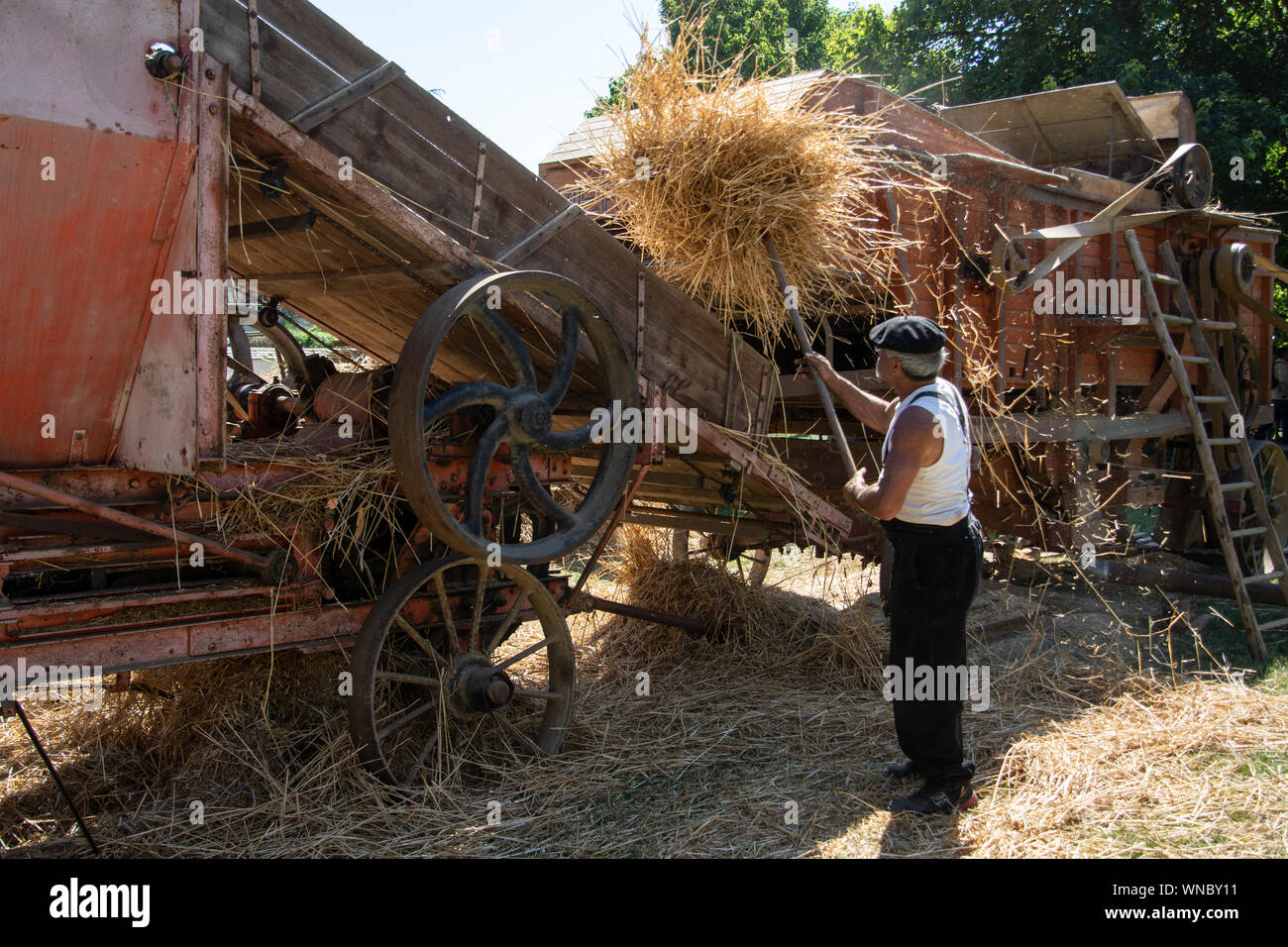 Traditionelle Heu pressen Maschine. Frankreich. Stockfoto