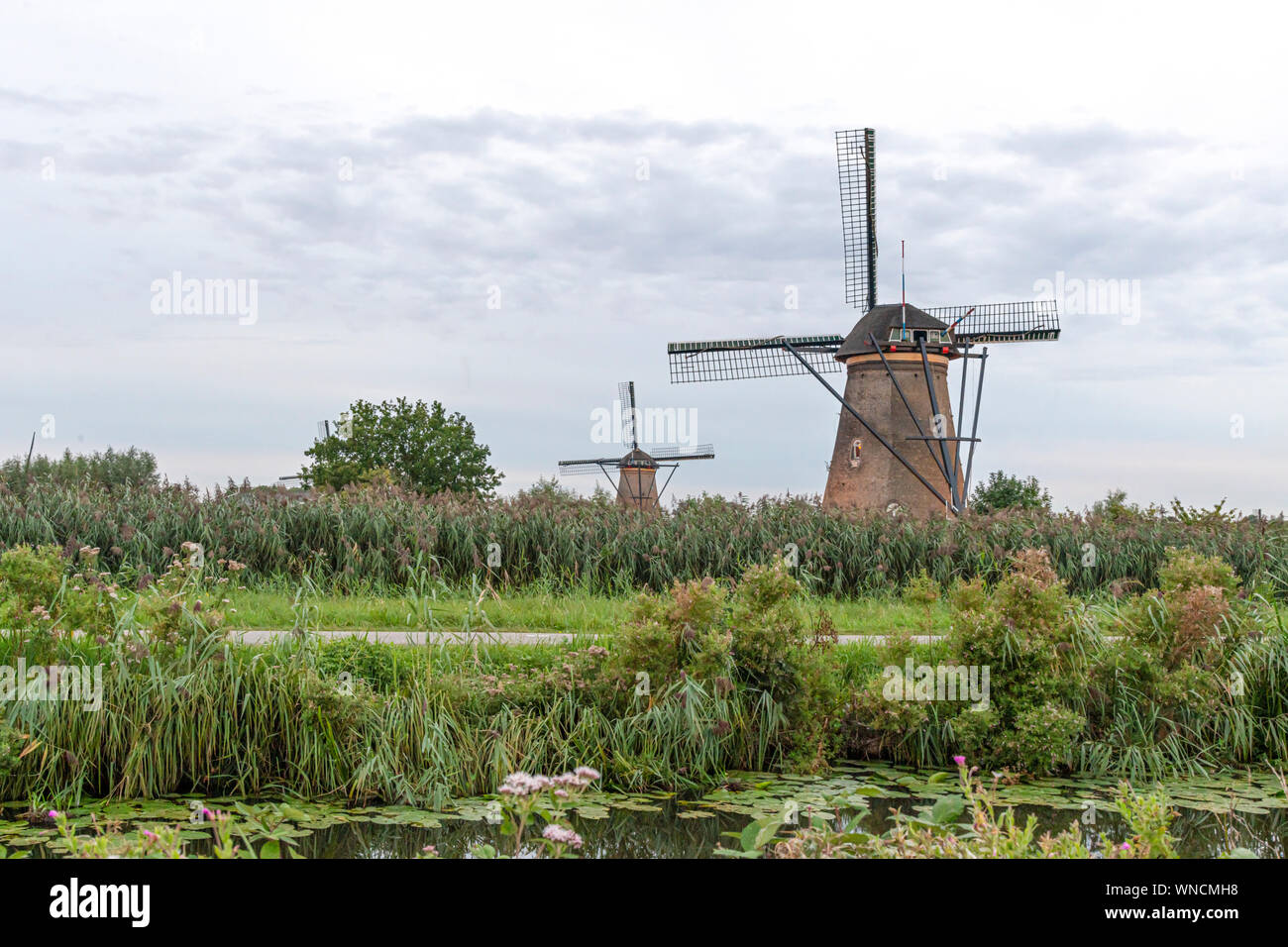 Holländische Windmühle über den Zaun des wildes Gras durch starke Winde geblasen während der Blauen Stunde, Alblasserdam, Niederlande Stockfoto