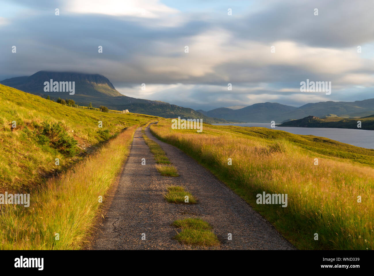 Single Track Road entlang Loch hoffen, Sutherland Stockfoto