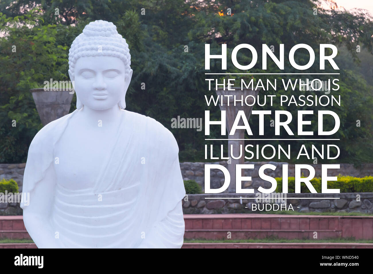 Ehre der Mann, der ohne Leidenschaft Hass, Illusion und Wunsch ist - Buddha Stockfoto