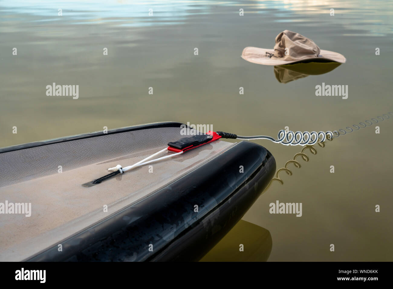 Safety Leash reichte von einem Schwanz von Stand up paddleboard in Wasser und hat schwebende, über Bord zu gehen Konzept Stockfoto