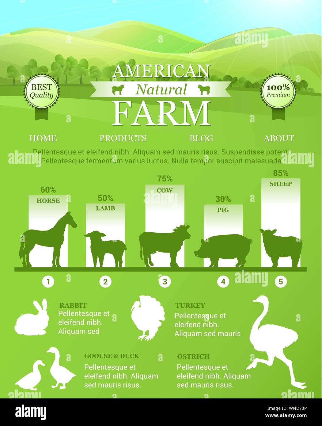 American Farm Infografik mit helle Landschaft, Nutztiere Silhouetten. Vector Template für die Landung Design, Webseite und Werbebanner, Visitenkarten. Stock Vektor