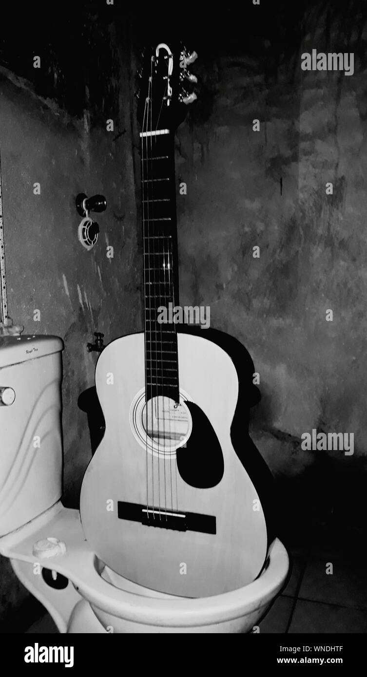 Nahaufnahme der Gitarre im WC-Sitz Stockfotografie - Alamy