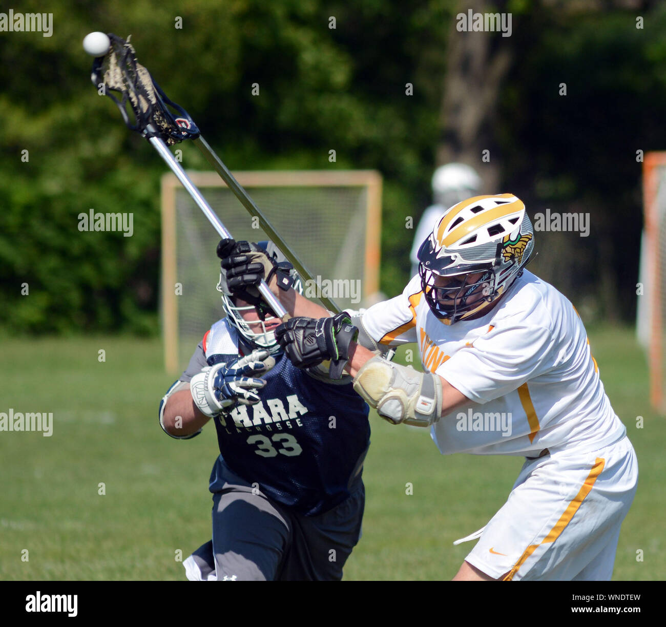 ANMERKUNG DER REDAKTION: KARDINAL O'HARA HAT KEINE DIENSTPLÄNE ZUR VERFÜGUNG GESTELLT UND SIE HABEN AUCH KEINE DIENSTPLÄNE ONLINE: Kardinal O'Haras (33) verteidigt als Erzbischof Wood's Dy Stockfoto