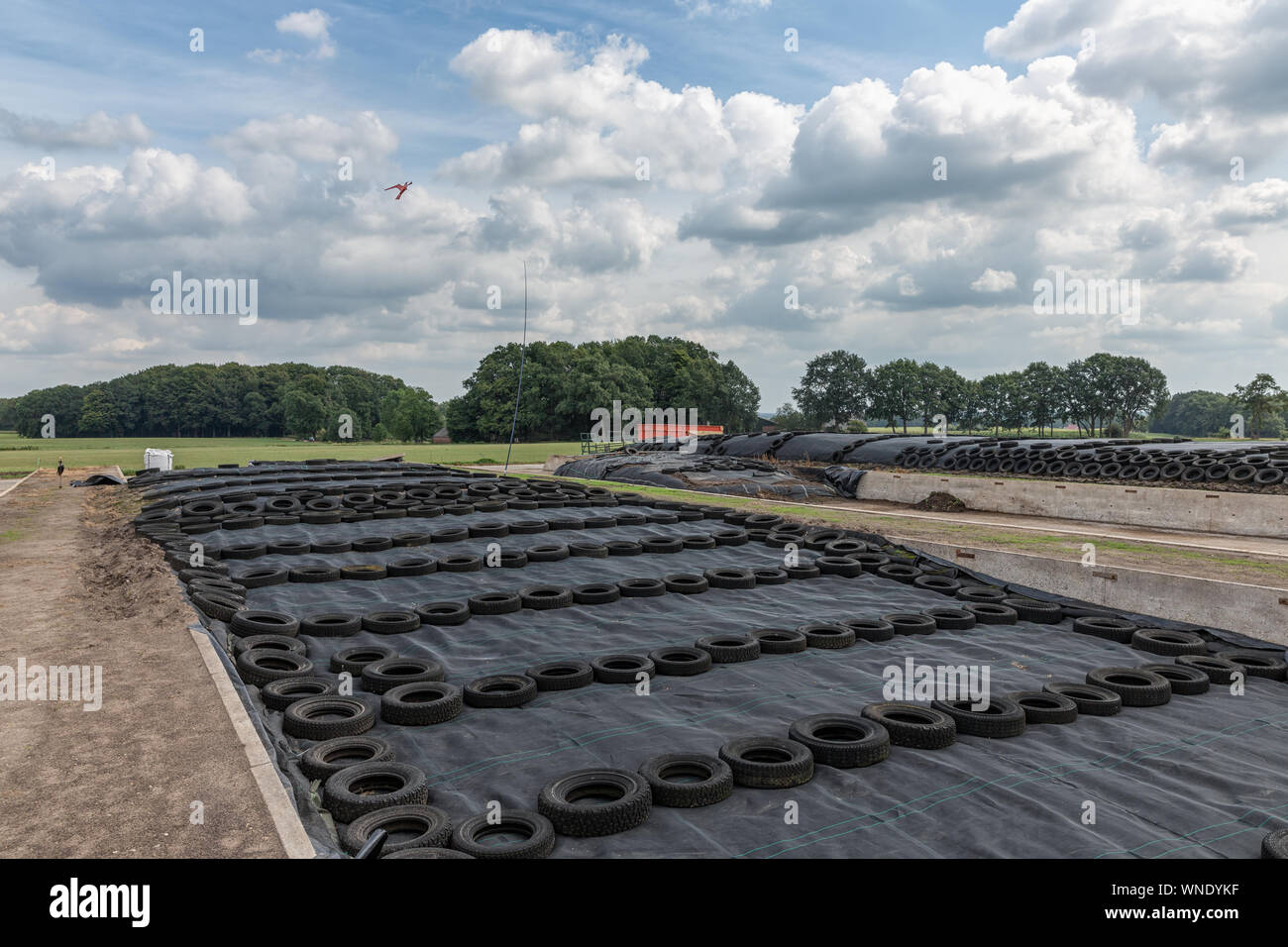 Niederländische Ackerland mit Grassilage mit Folie und Reifen abgedeckt Stockfoto