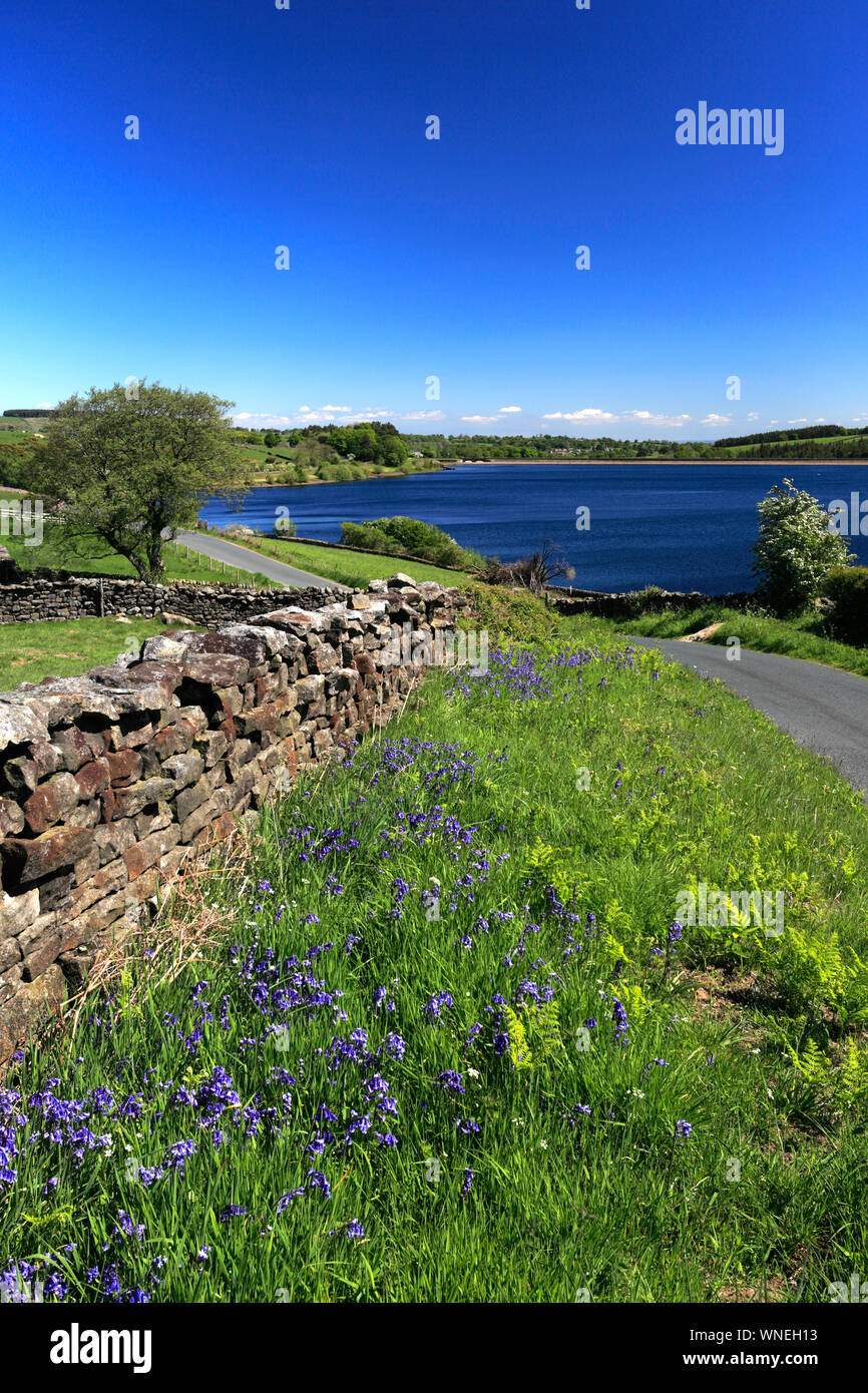 Frühling Blick über Leighton Reservoir, Nidderdale, North Yorkshire, England, Großbritannien Stockfoto