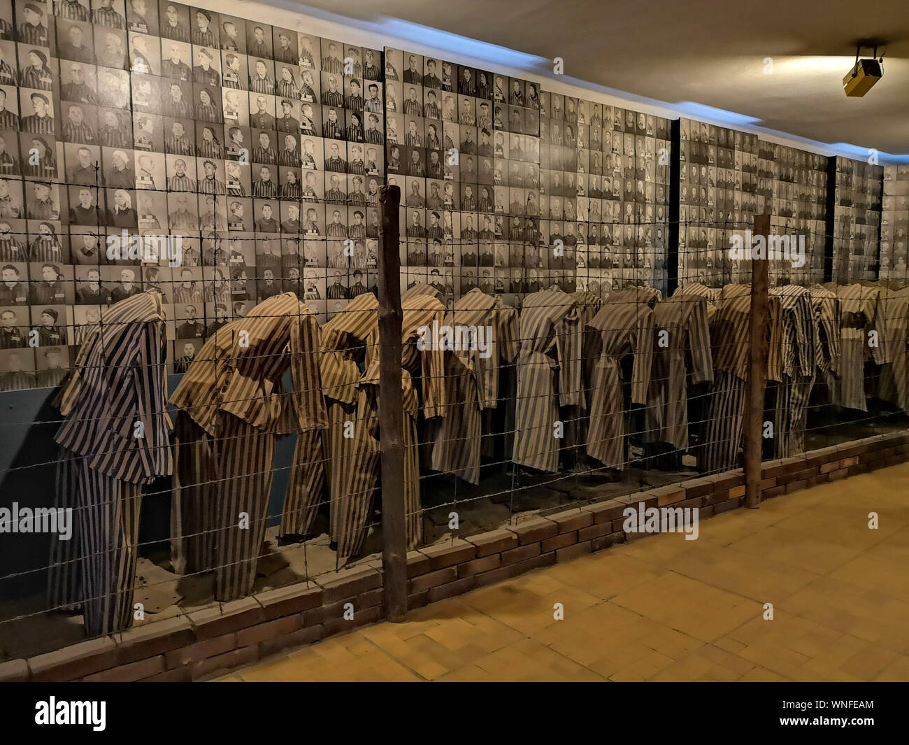 Eine Ausstellung über das Schicksal der deportierten aus verschiedenen Ländern auf der Konzentrationslager Auschwitz und Camp in Polen, am 29. August 2019. Stockfoto