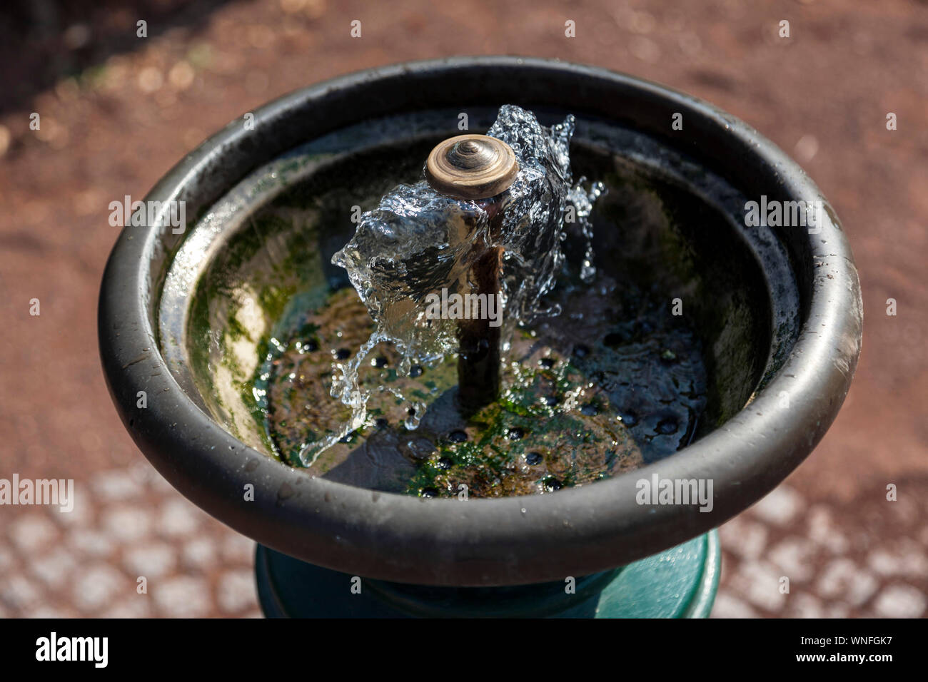 Kostenlose Erfrischung durch Brunnen Stockfoto