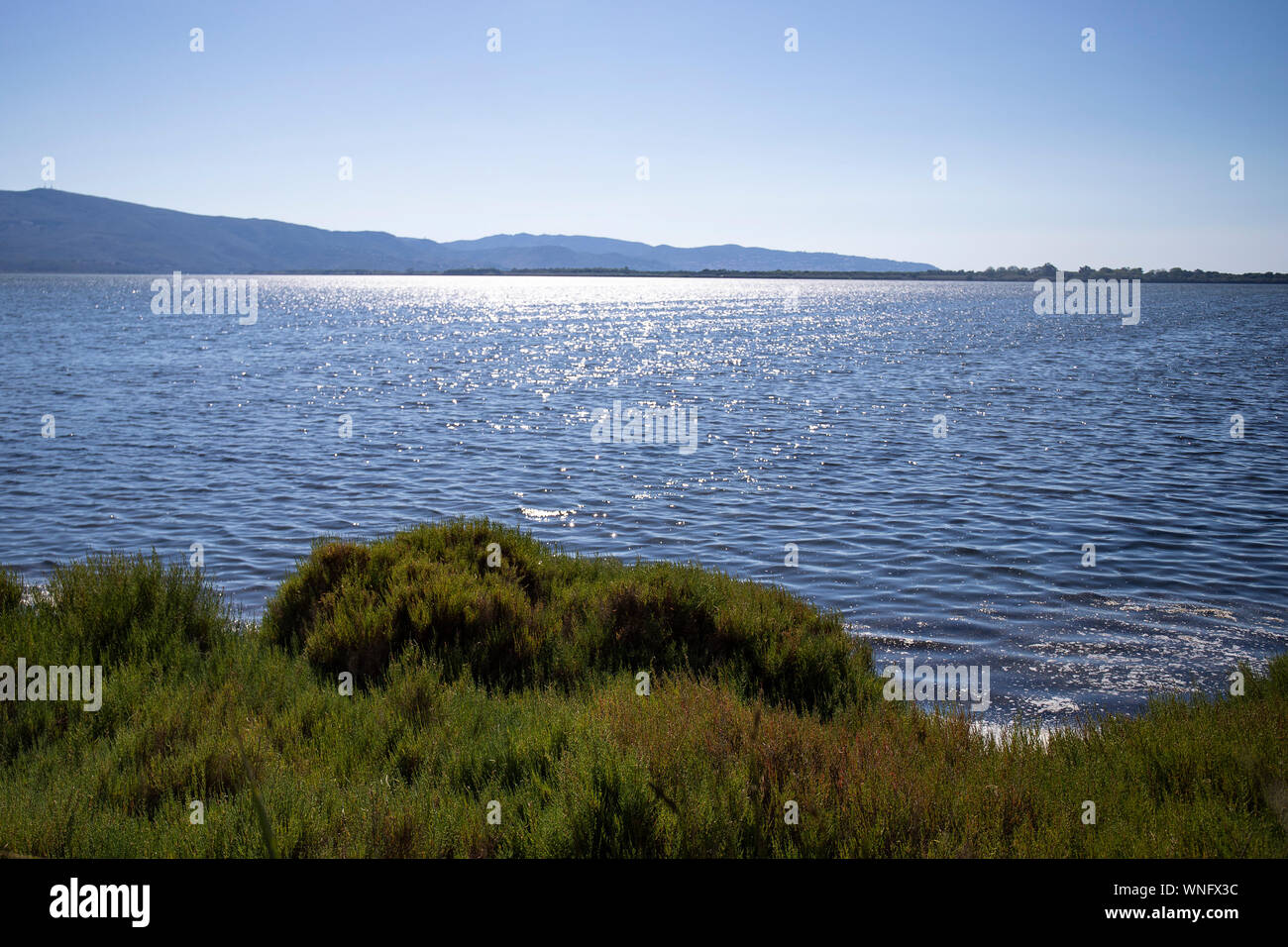 Grünen Küste und Meer am Nachmittag mit goldenem Licht, Parco della Laguna di Orbetello, Patanella, Toskana, Italien. Landschaft Hintergrund. Stockfoto