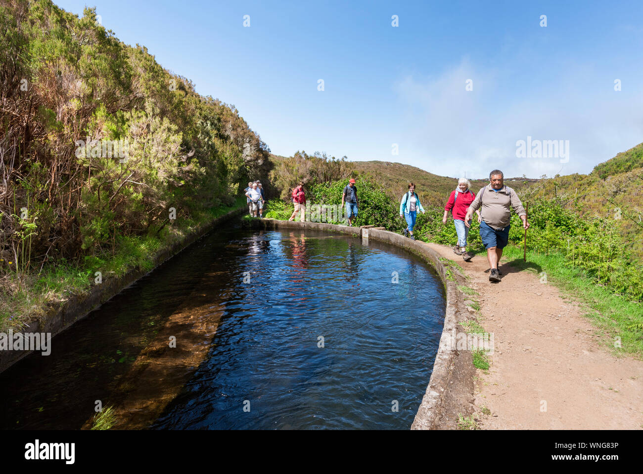 Touristen zu Fuß auf einem geführten Spaziergang auf Madeira Levada Stockfoto