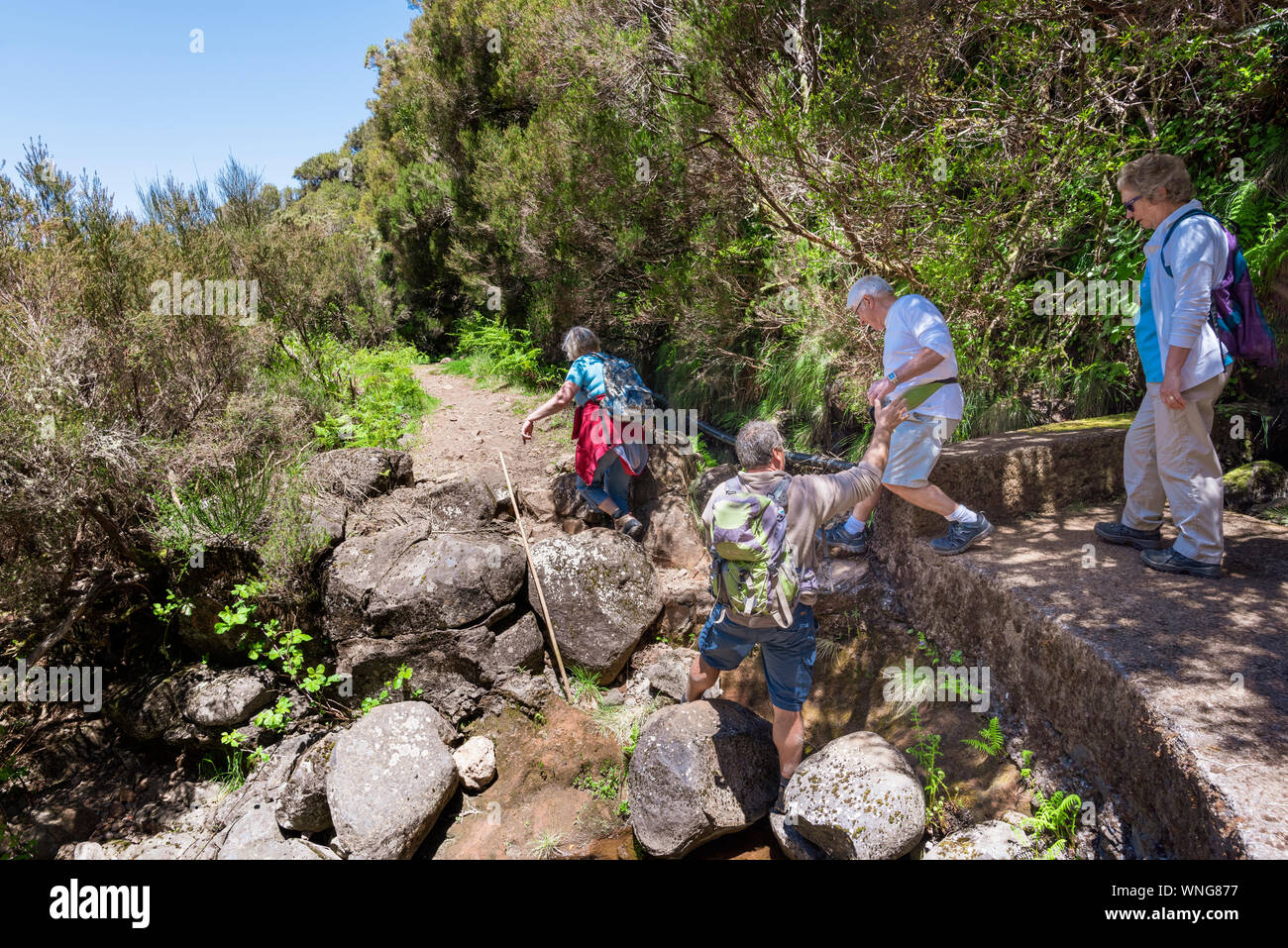 Touristen zu Fuß auf einem geführten Spaziergang auf Madeira Levada Stockfoto