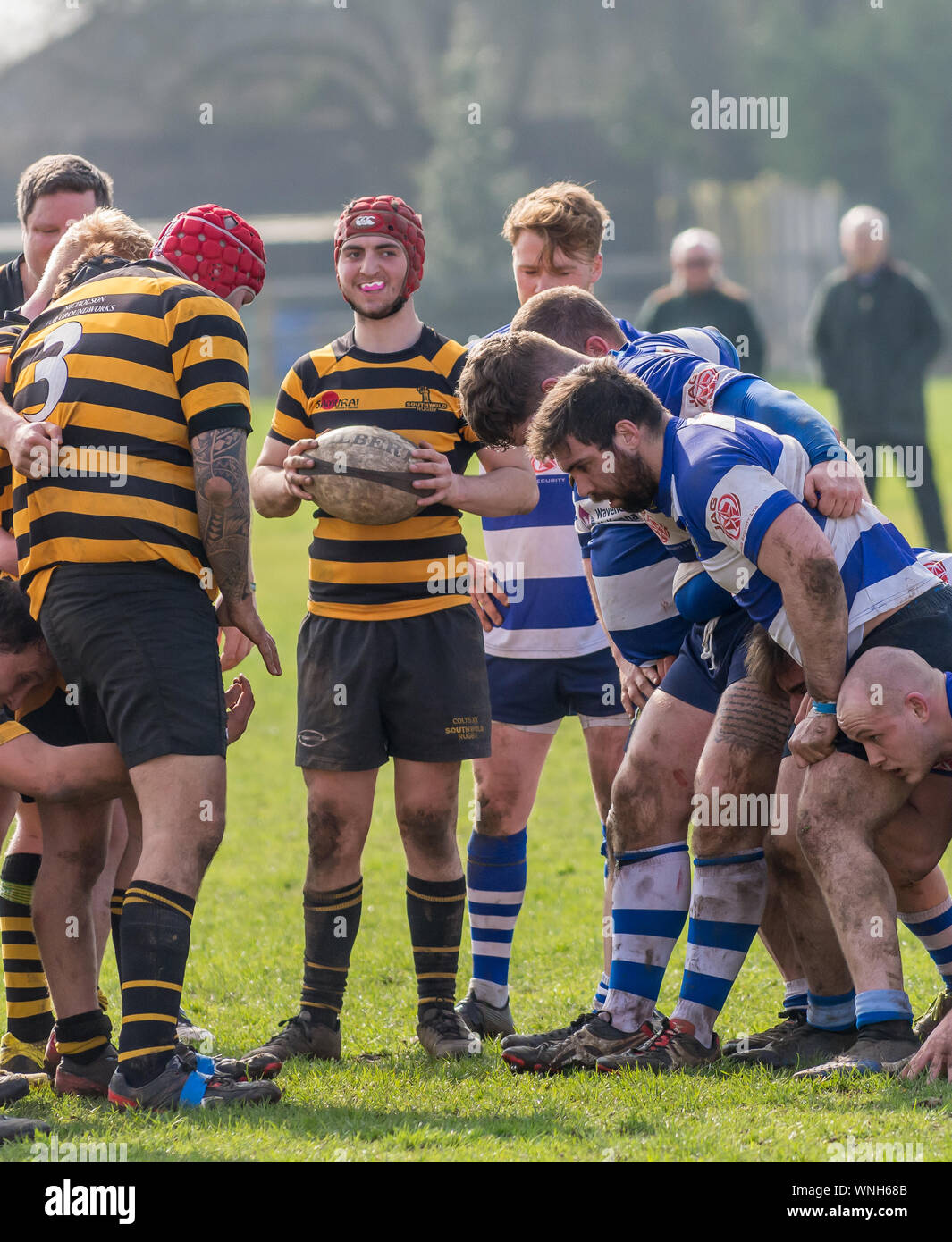 Amateur Rugby Union, männliche Spieler bereiten sich für Scrum starten, mit dem Scrum Hälfte (Anzahl gehaltener Ball und Vorbereitung zu starten 9) Stockfoto