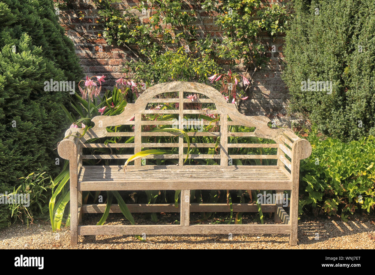 Sitzbank im Englischen Garten umgeben von Sträuchern und Lilien Stockfoto