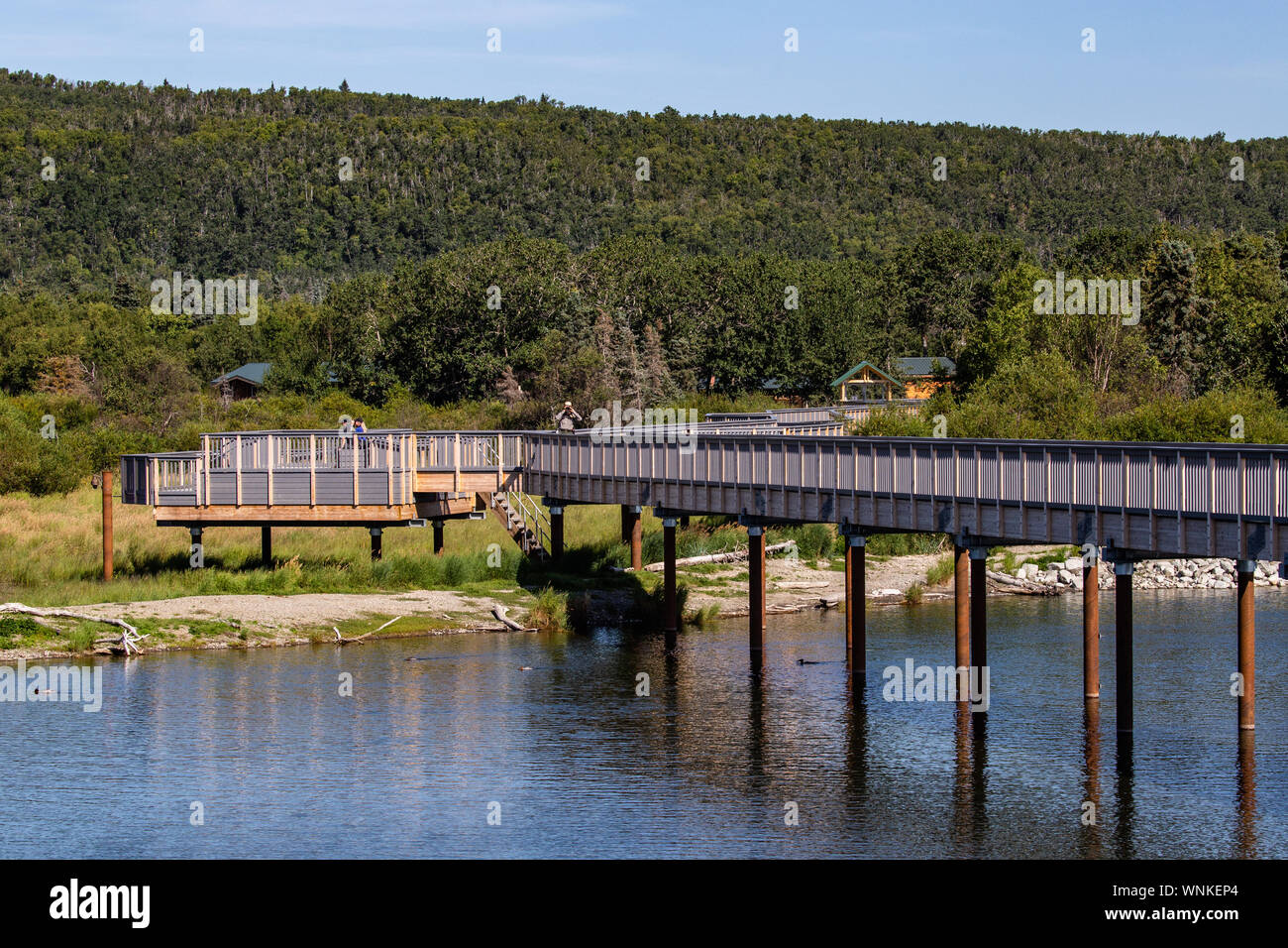 Plattform und Brücke über Brooks River im Katmai Alaska Stockfoto