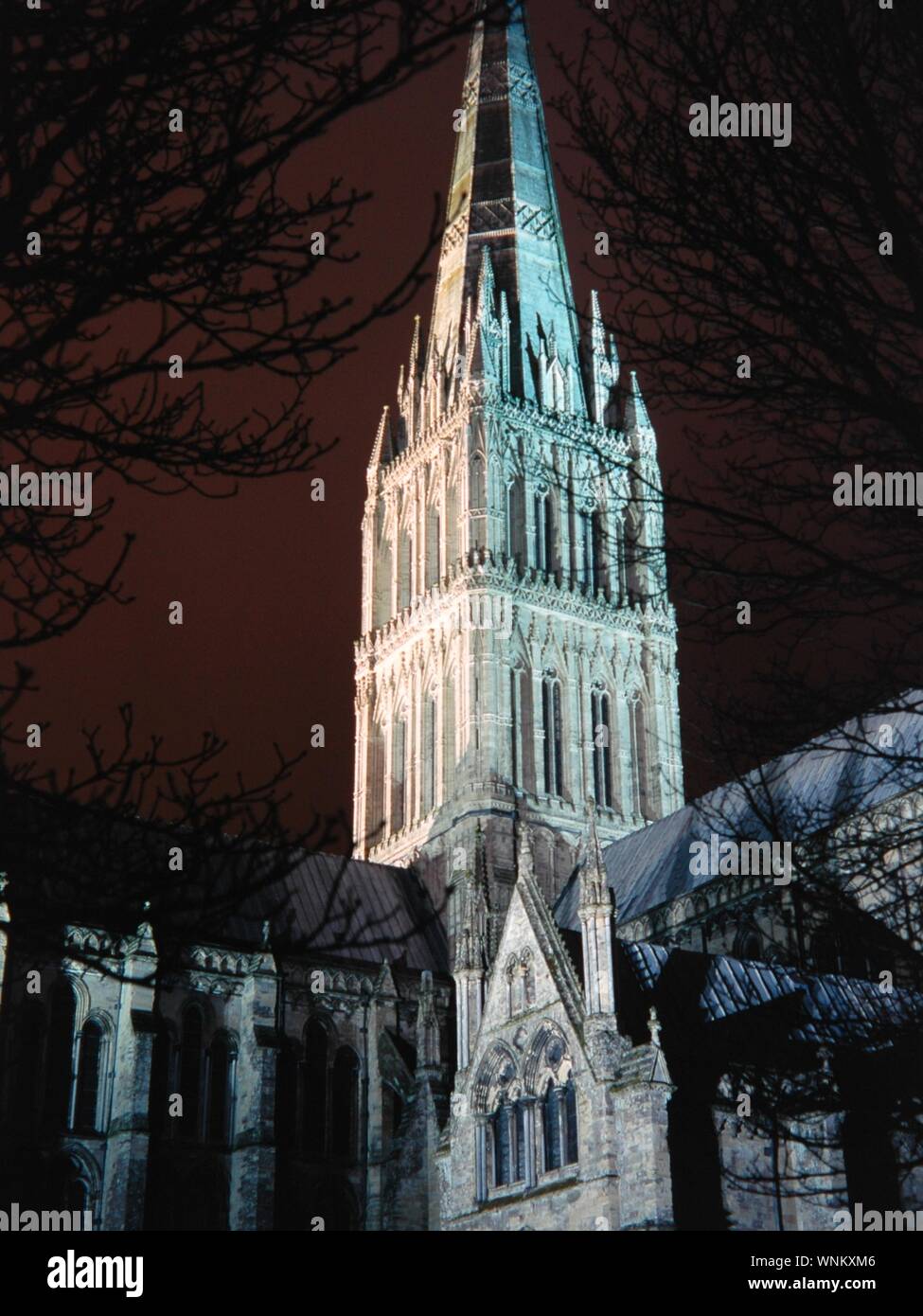 salisbury Kathedrale bei Nacht Stockfoto