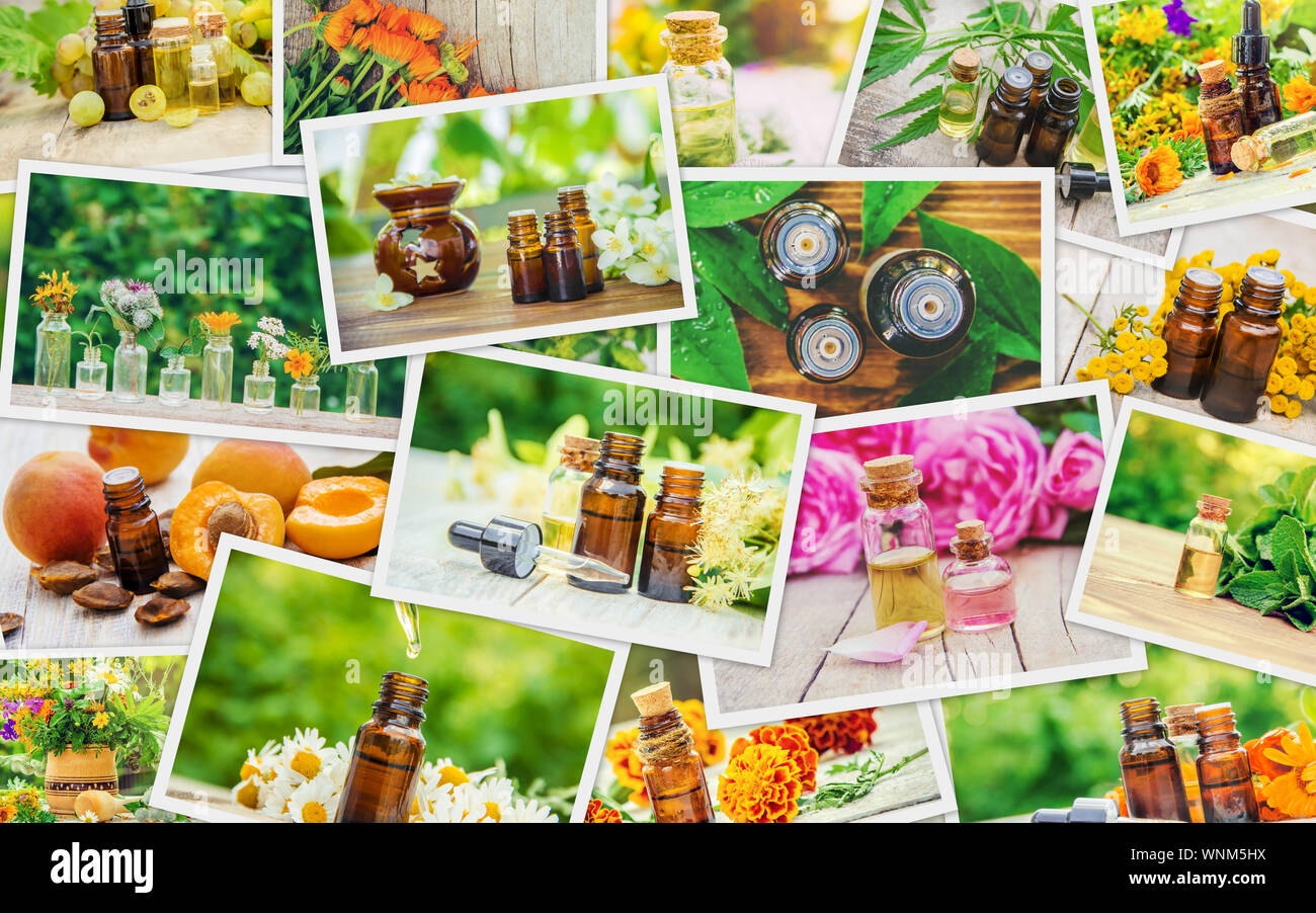 Collage aus verschiedenen Bildern von Auszügen aus Kräutern. Homöopathie. Selektive konzentrieren. Natur. Stockfoto