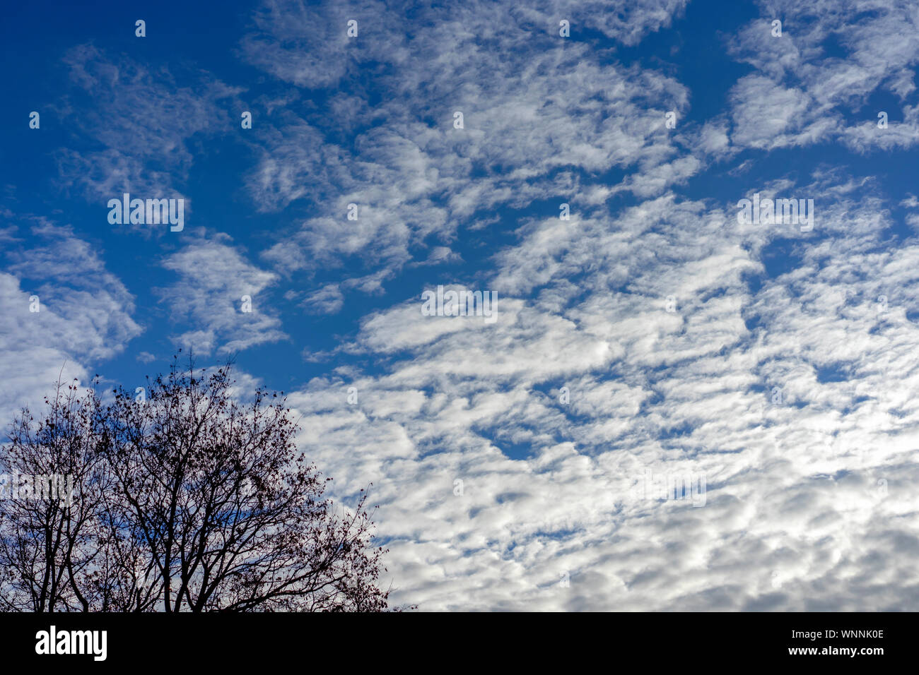 Weiß einfach Wolken gegen den blauen Himmel. Stockfoto