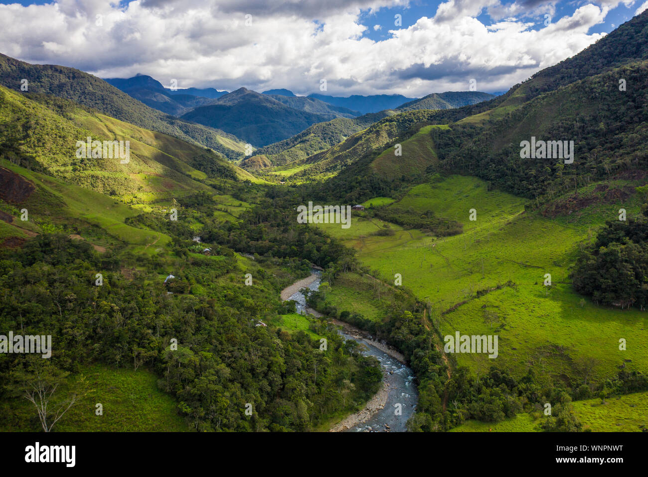 Peruanischen Regenwald in der Nähe von Chachapoyas, Peru. Stockfoto