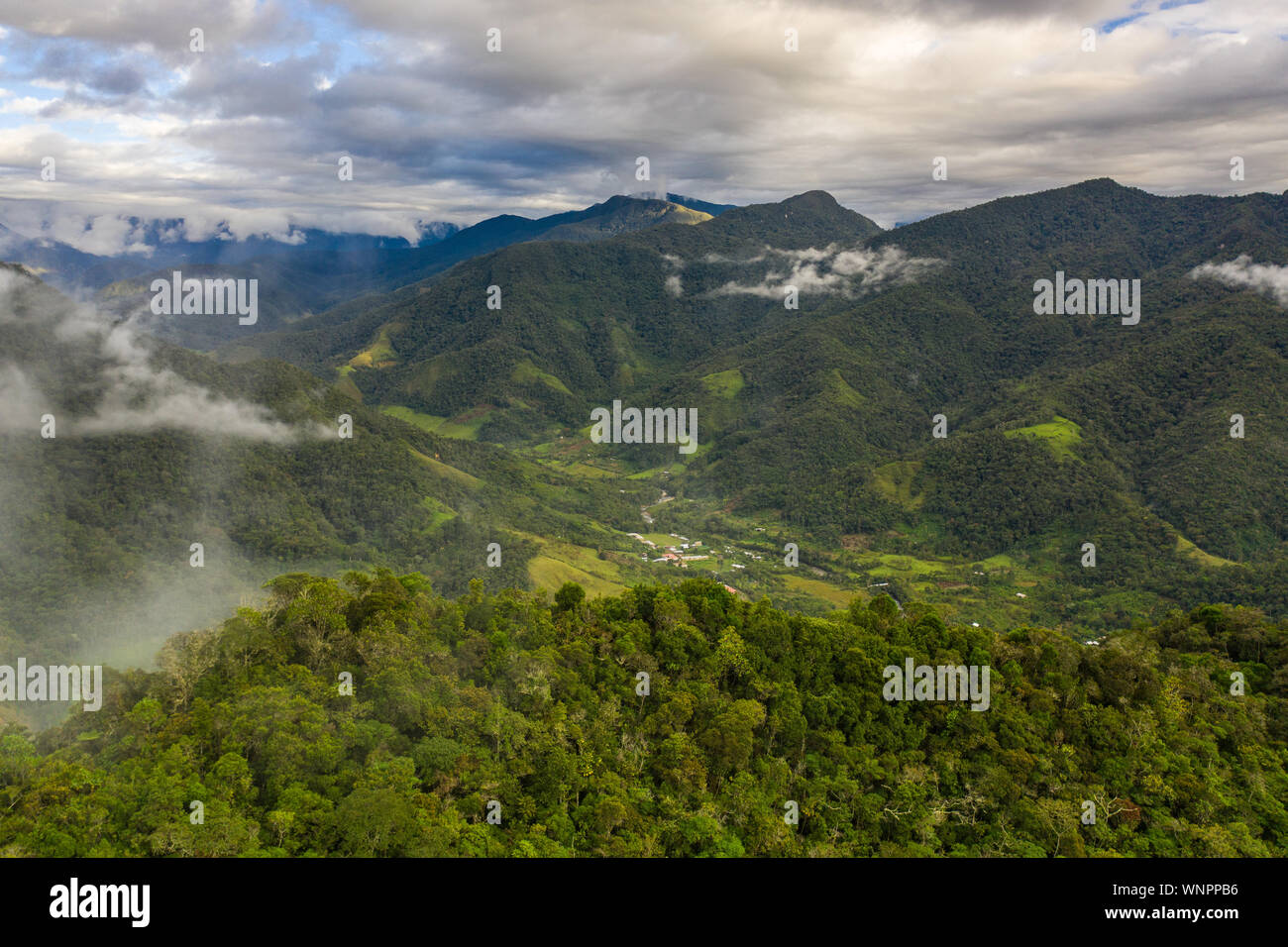 Peruanischen Regenwald in der Nähe von Chachapoyas, Peru. Stockfoto