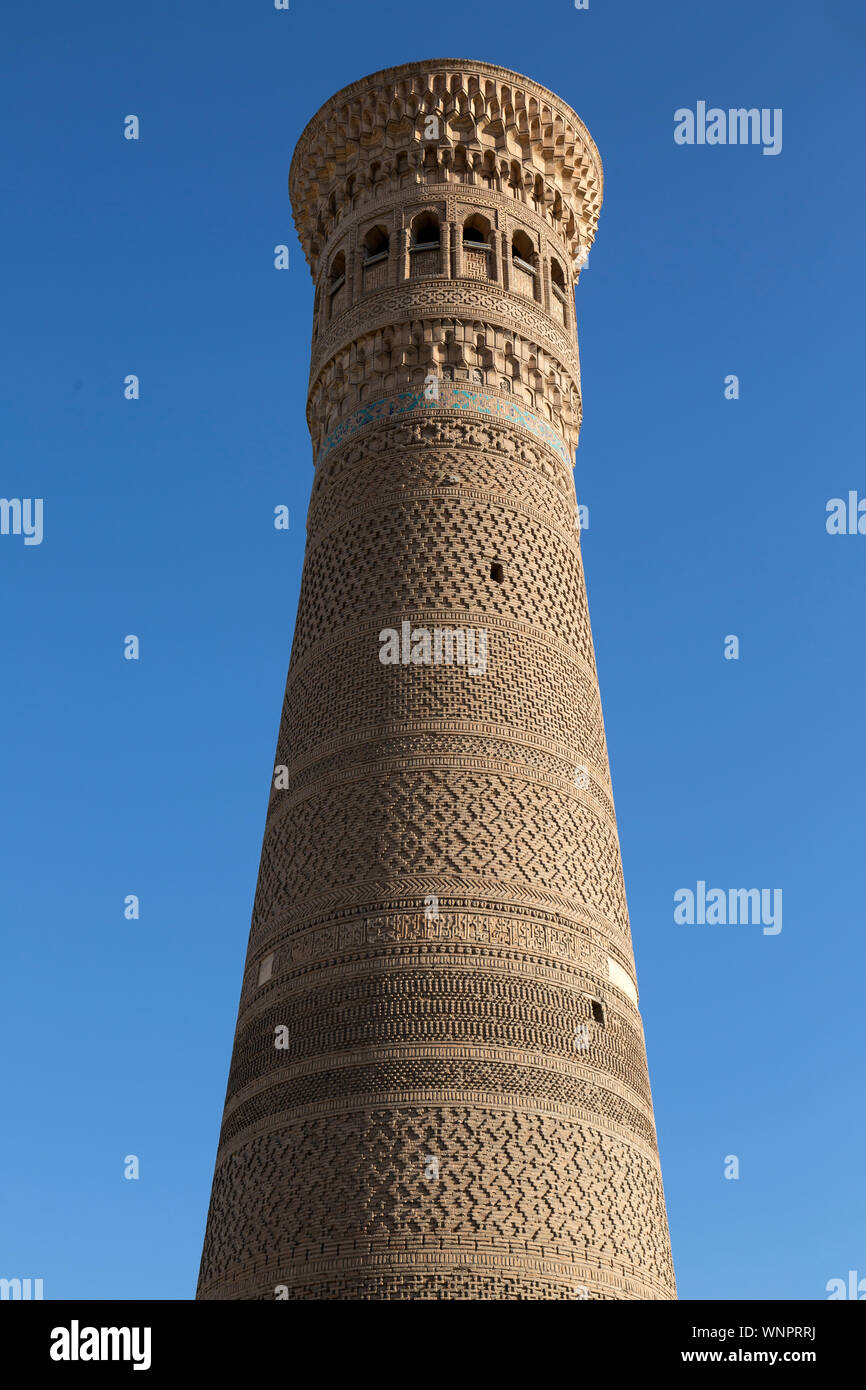Die kalyon Minar, oder Super Minarett, in der POI kalyon Square in Buchara, Usbekistan. Ursprünglich im Jahre 1127 erbaut. Stockfoto
