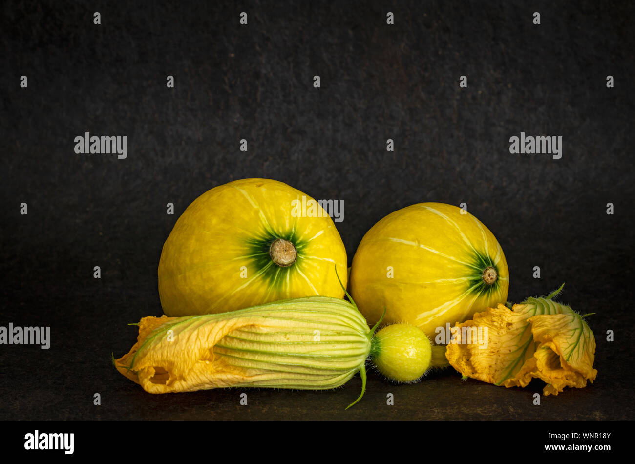Frisches Obst und Blumen der jungen Kürbisse Stockfoto