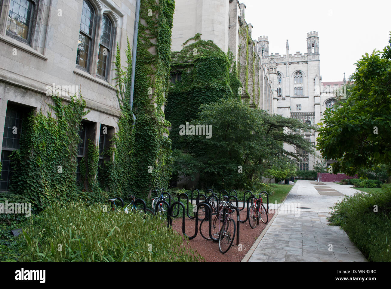 Wohnungen im Englischen gotischen Stil mit Fahrrädern und Gärten Stockfoto