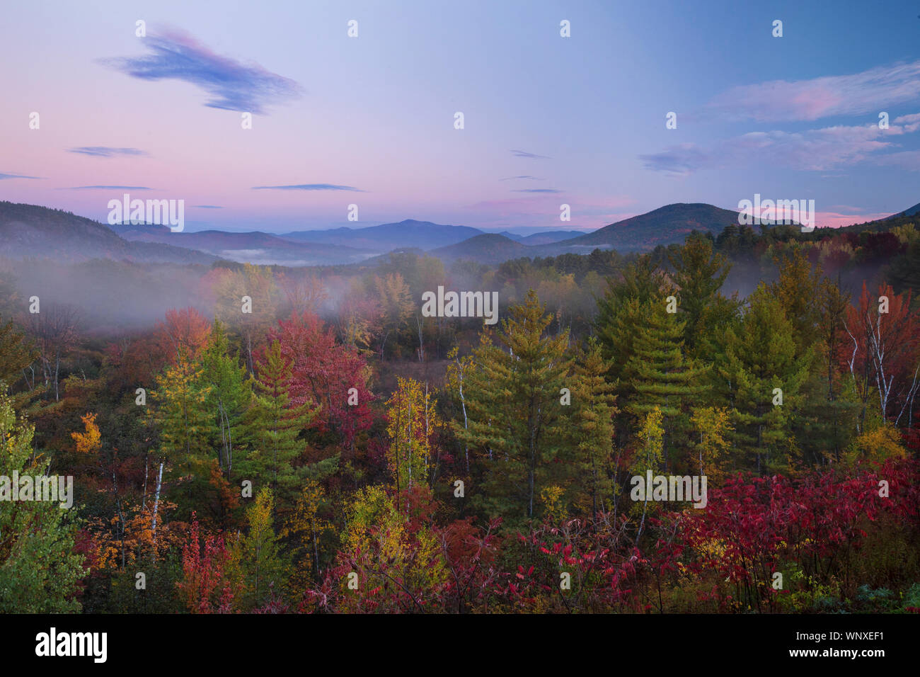 Bunte Blätter im Herbst und Farben über die White Mountains in New Hampshire fallen; Blatt - peeping Spaß fallen in New England Stockfoto