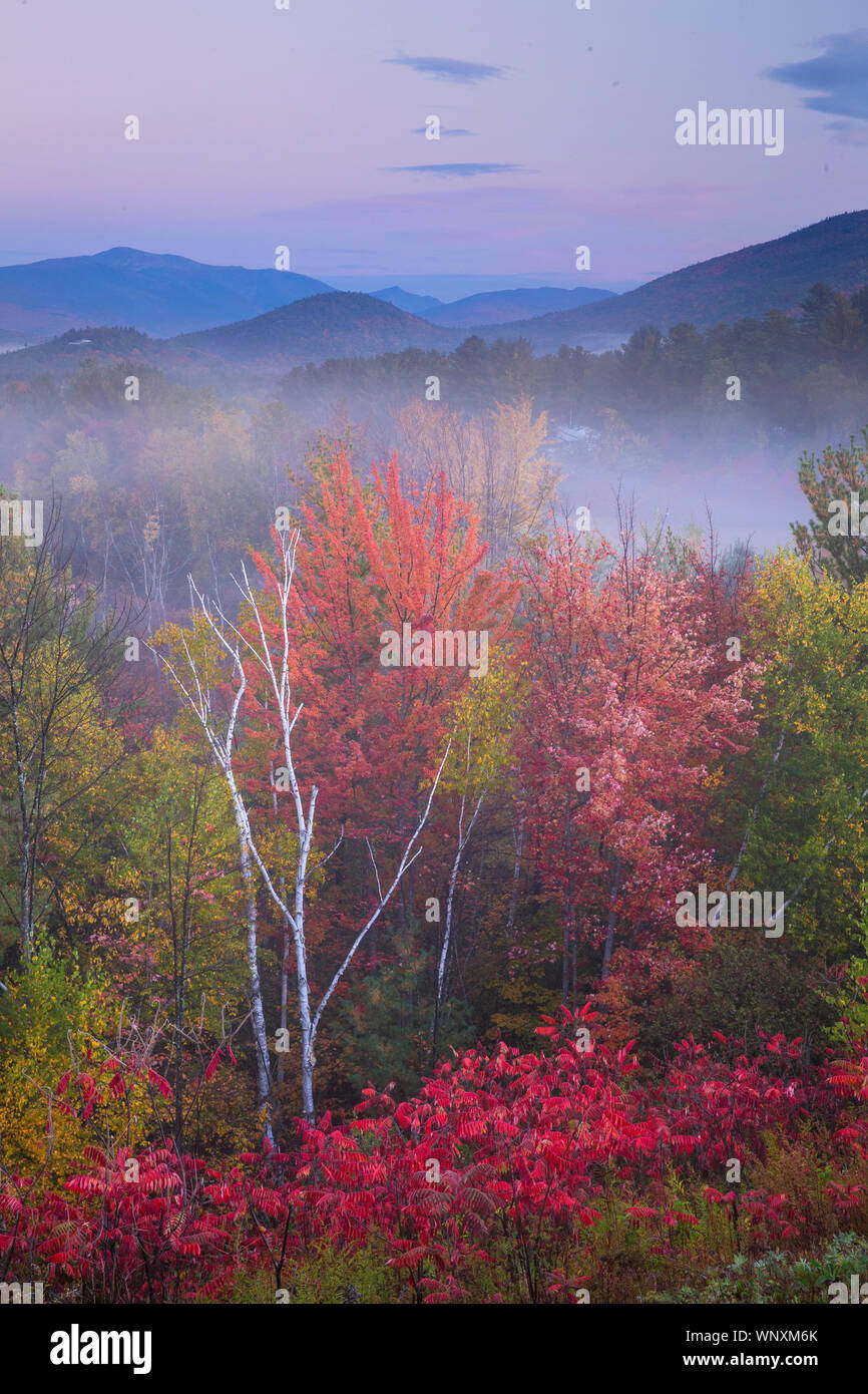 Bunte Blätter im Herbst und Farben über die White Mountains in New Hampshire fallen; Blatt - peeping Spaß fallen in New England Stockfoto