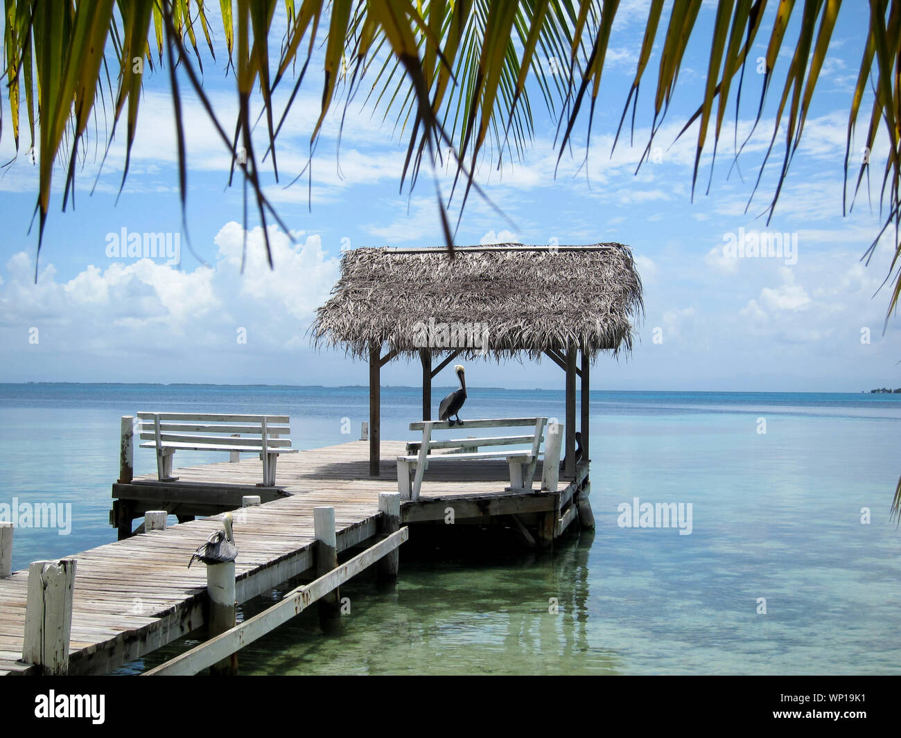 Belize Cayes, Pier auf der tropischen Insel Paradies in Belize Stockfoto