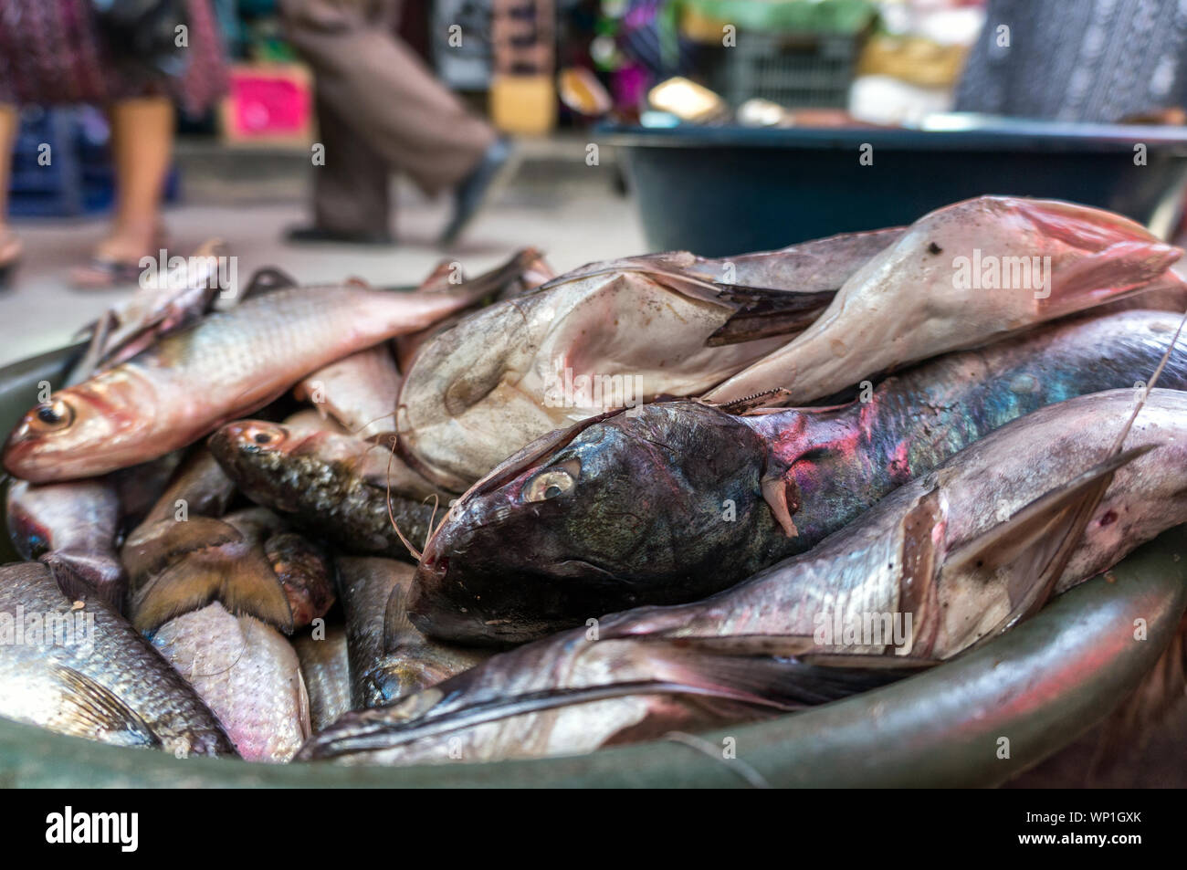 Fisch, der für den Verkauf am Markt in Chichicastenango, Guatemala Stockfoto