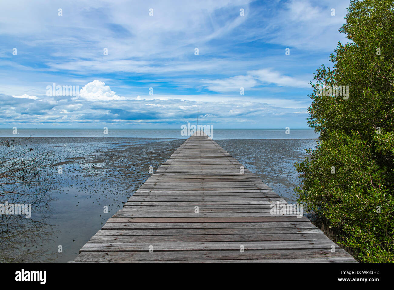 Eine lange hölzerne weg Ende des Strandes von mangrovenwald Hintergrund. Stockfoto
