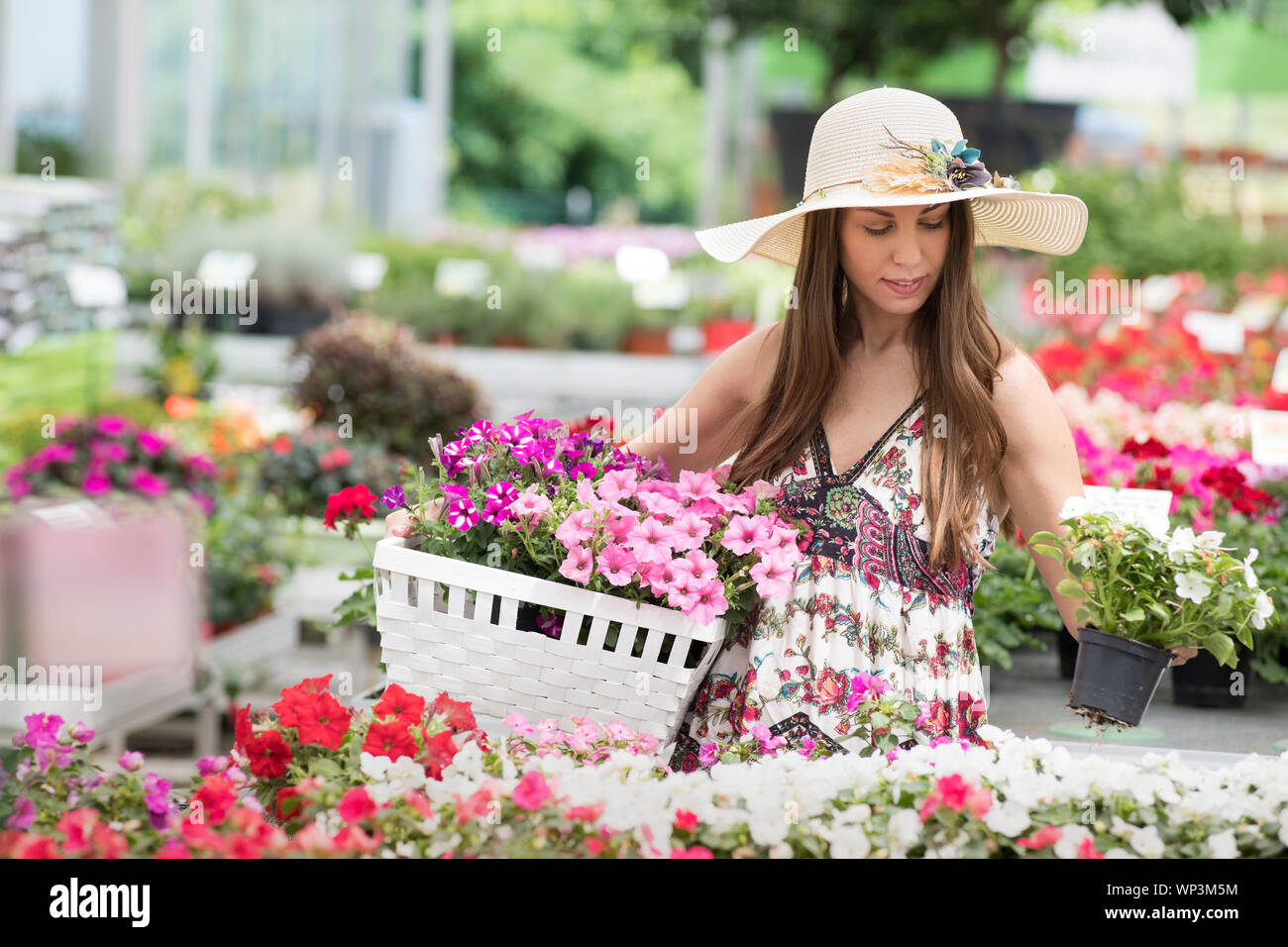 Glücklich lächelnde Frau in breitrandigen Hut und Buntes Kleid mit weißen Blume Warenkorb beim Stehen in der Nähe von Pflanzmaschinen mit Blumen gefüllt Stockfoto