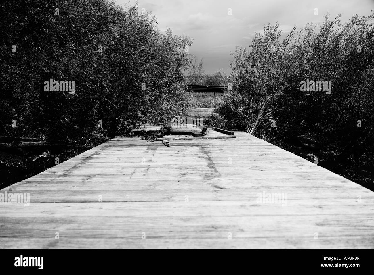 Dock, Wasser, Meer, Boot, Hafen, Reisen, Hafen, Schiff, Sky, Pier, blau, Ozean, Transport, Sommer, Transport, Schiff, Stadt, nautischen, Küste, Ferienhäuser Stockfoto