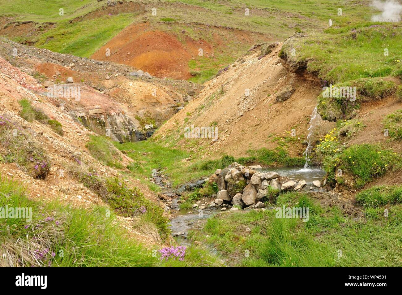 Kleienr Bach schlängelt sich zwischen Steinen durch die Landschaft. Stockfoto