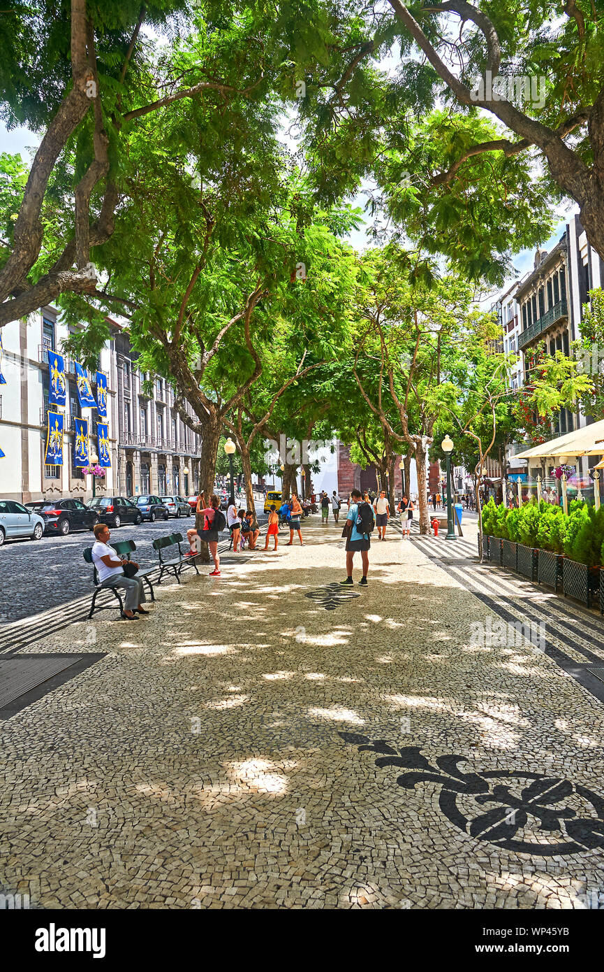 Von Bäumen gesäumten Fußgängerzone im Zentrum von Funchal, Madeira Stockfoto