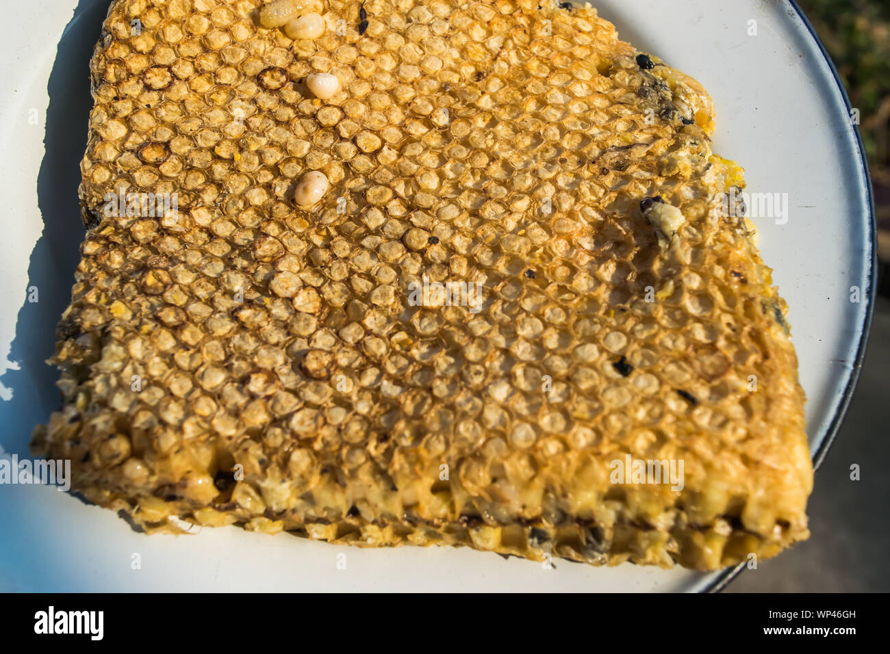 Raw Wabe auf weißem Teller für Essen im ländlichen Raum Stockfoto