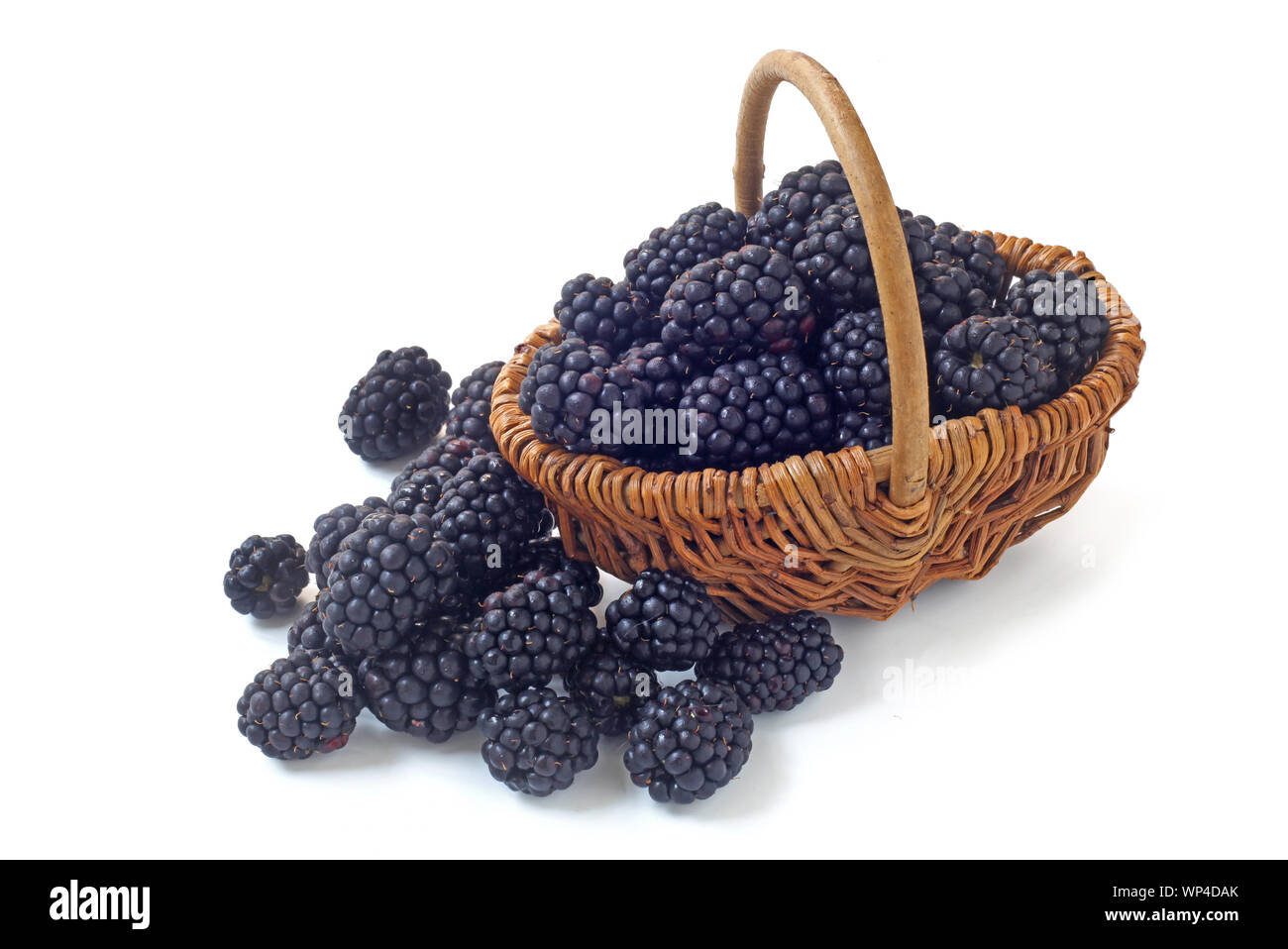 Frische Brombeeren in einem Weidenkorb isoliert auf weißem Stockfoto